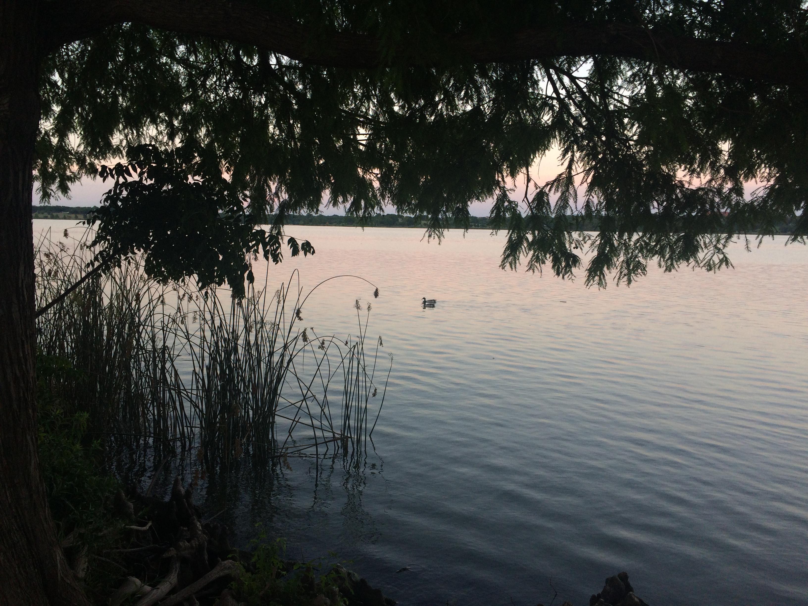Sunset at White rock lake! r/Dallas