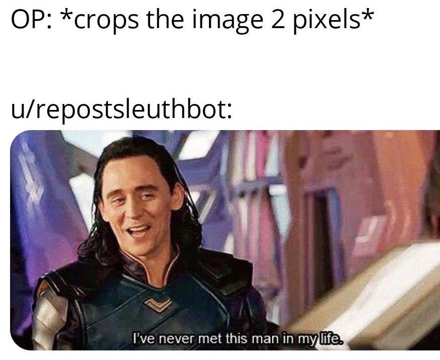 Has as much use as me IRL, none. memes