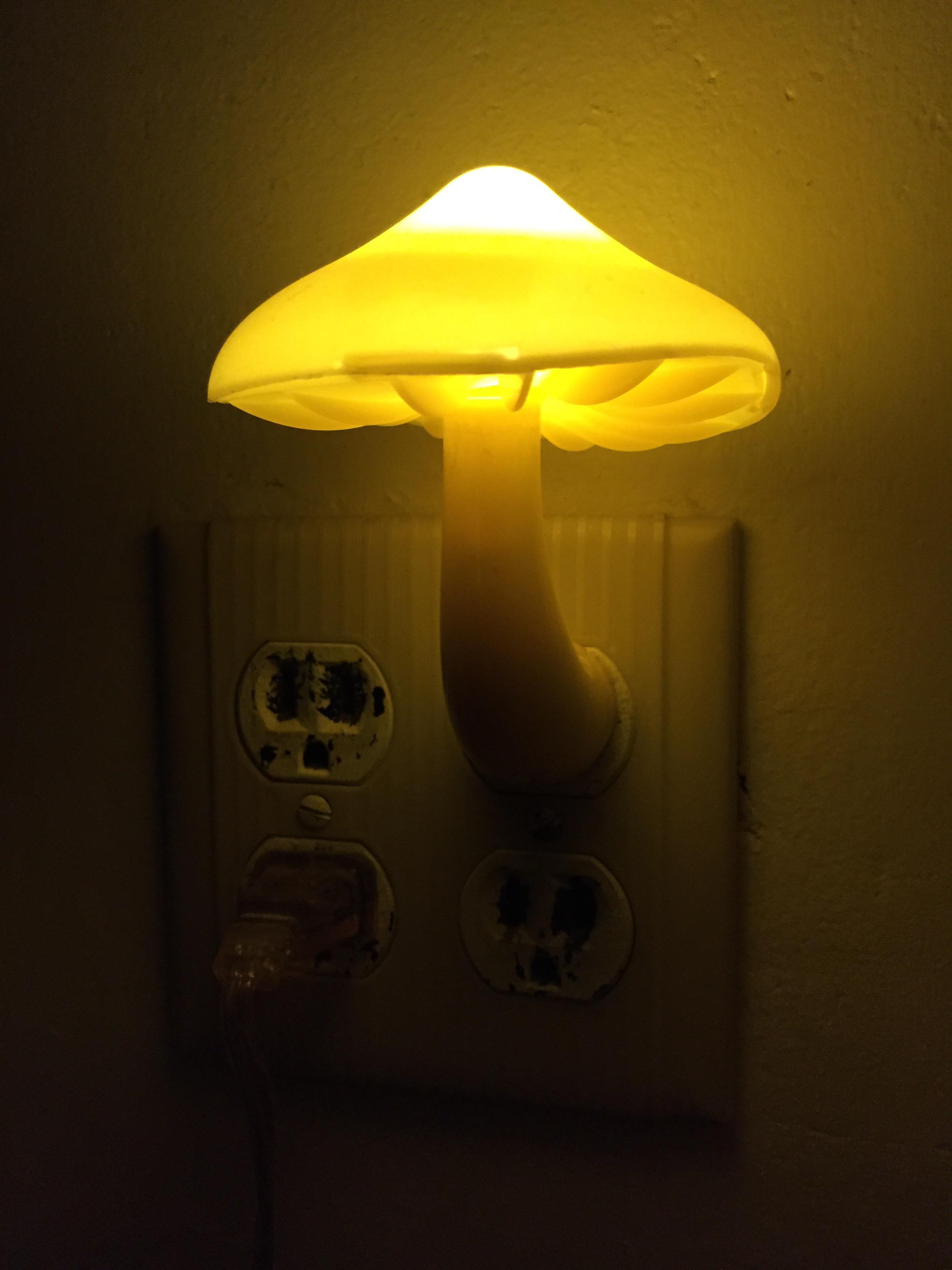 Mushroom night light! What a neat gift from my Fiancé! r/mycology