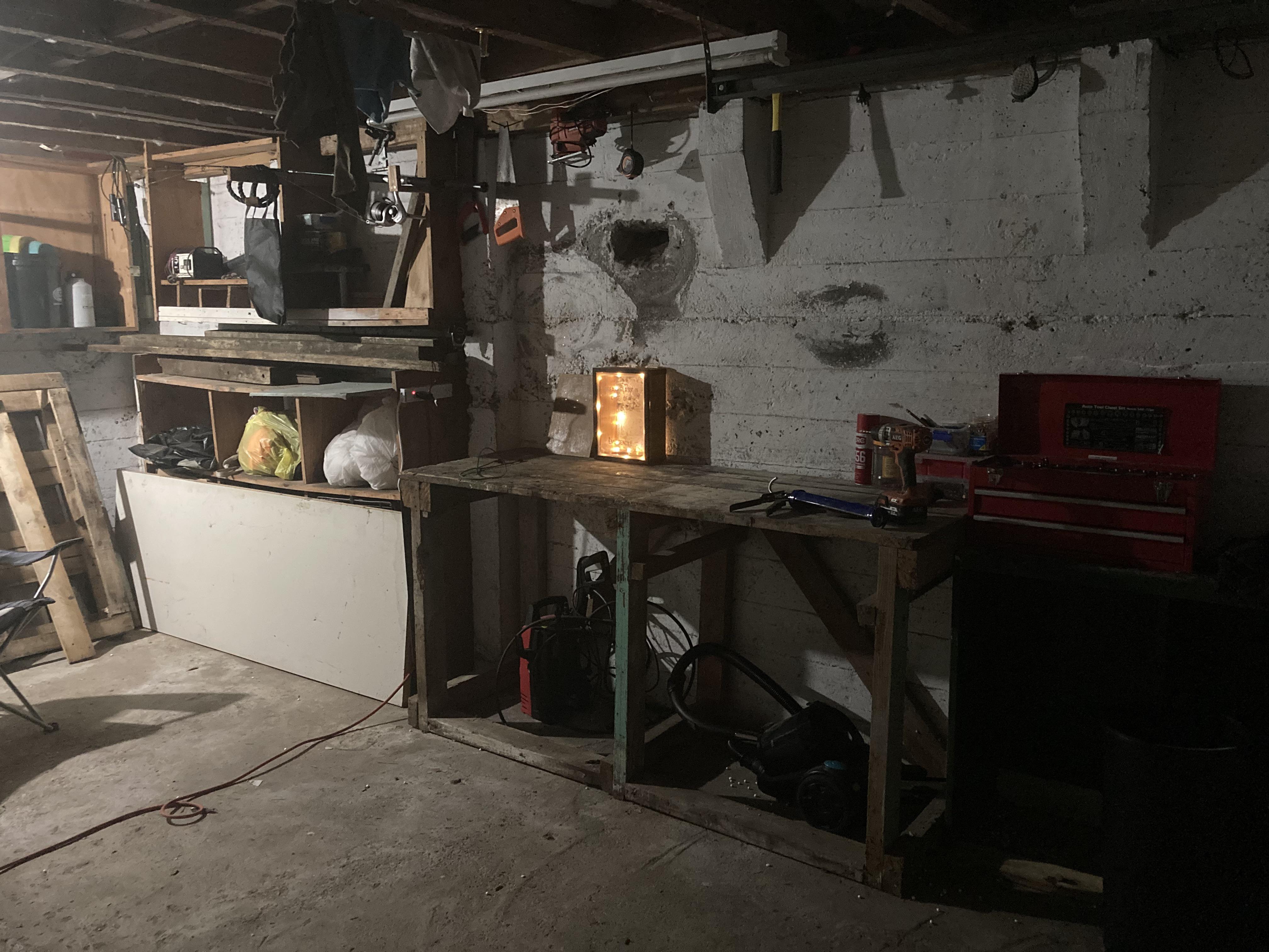 I have no tools, the garage smells damp and my last halogen light bulb