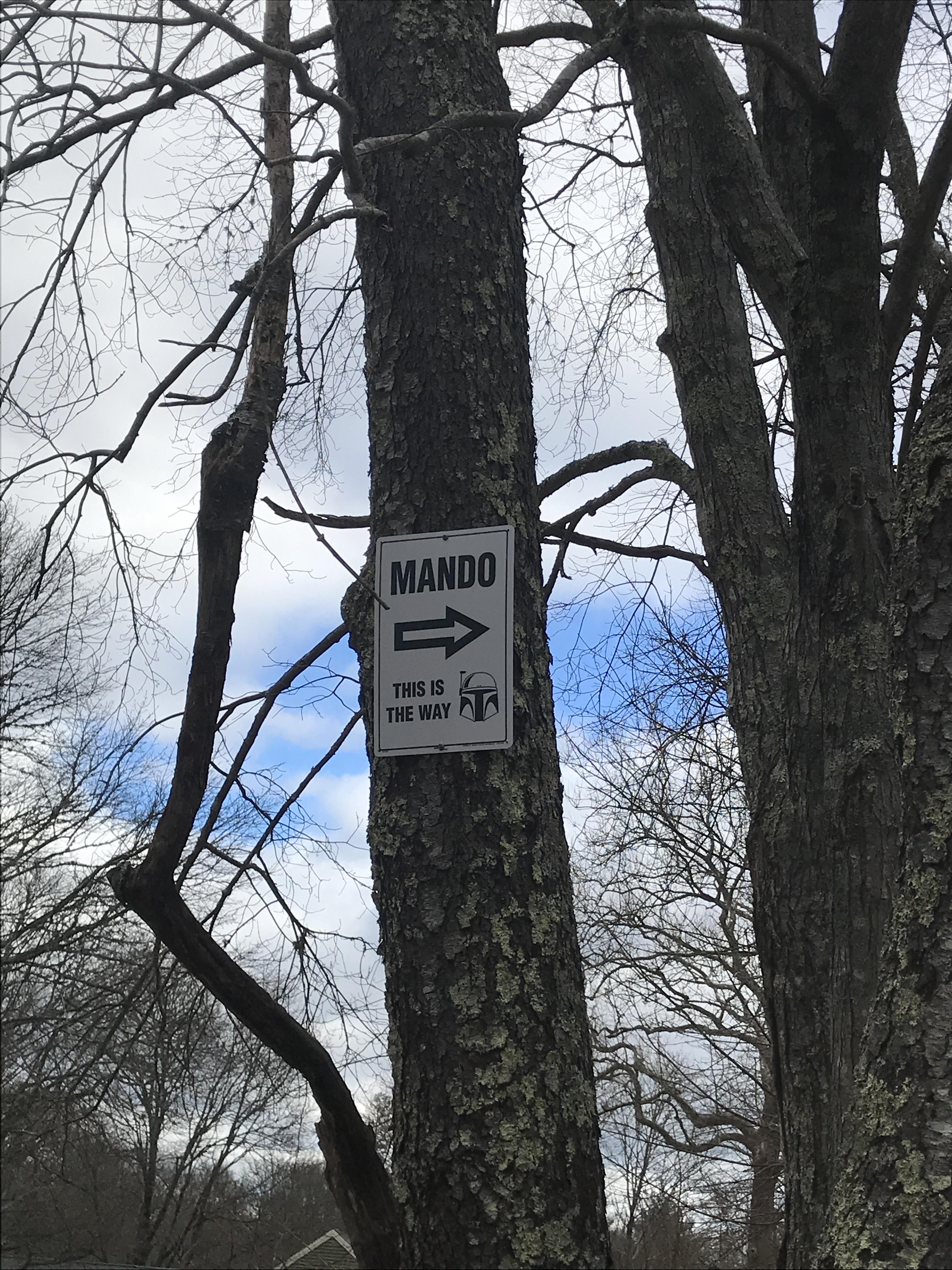 Saw this awesome mando sign from the Mandalorian while playing disc golf today! Sunnymede Disc