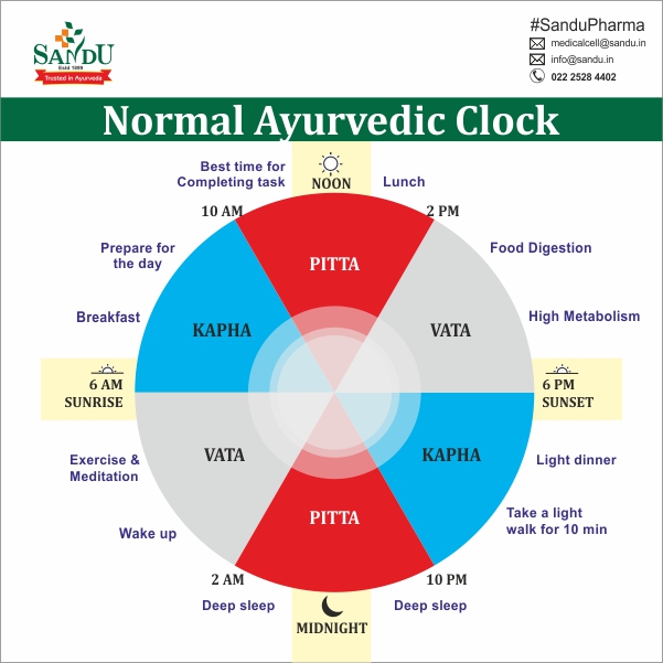 The Normal Ayurvedic Clock r/Ayurved