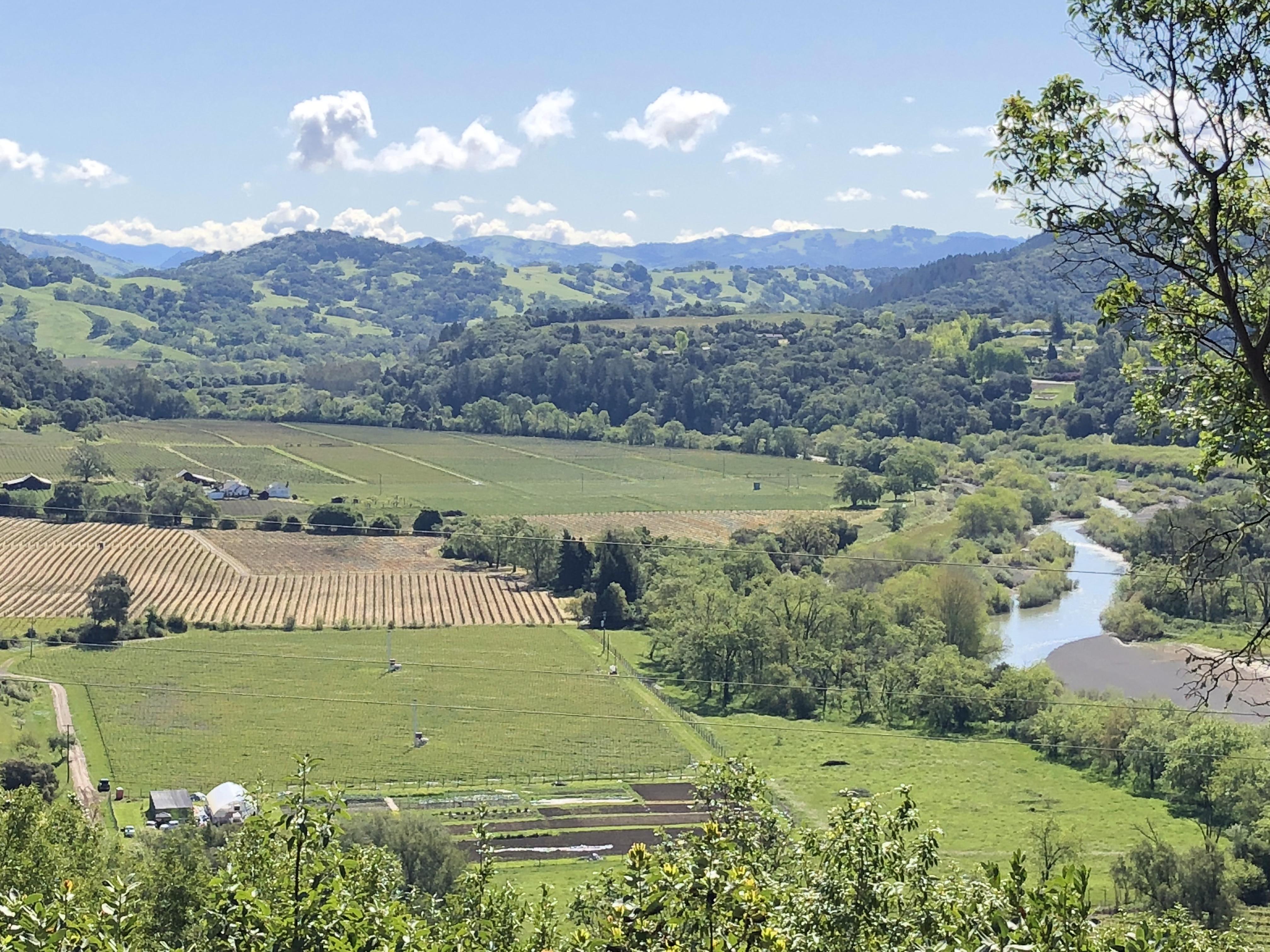 Alexander Valley, from Healdsburg Ridge Open Space Preserve, in Sonoma