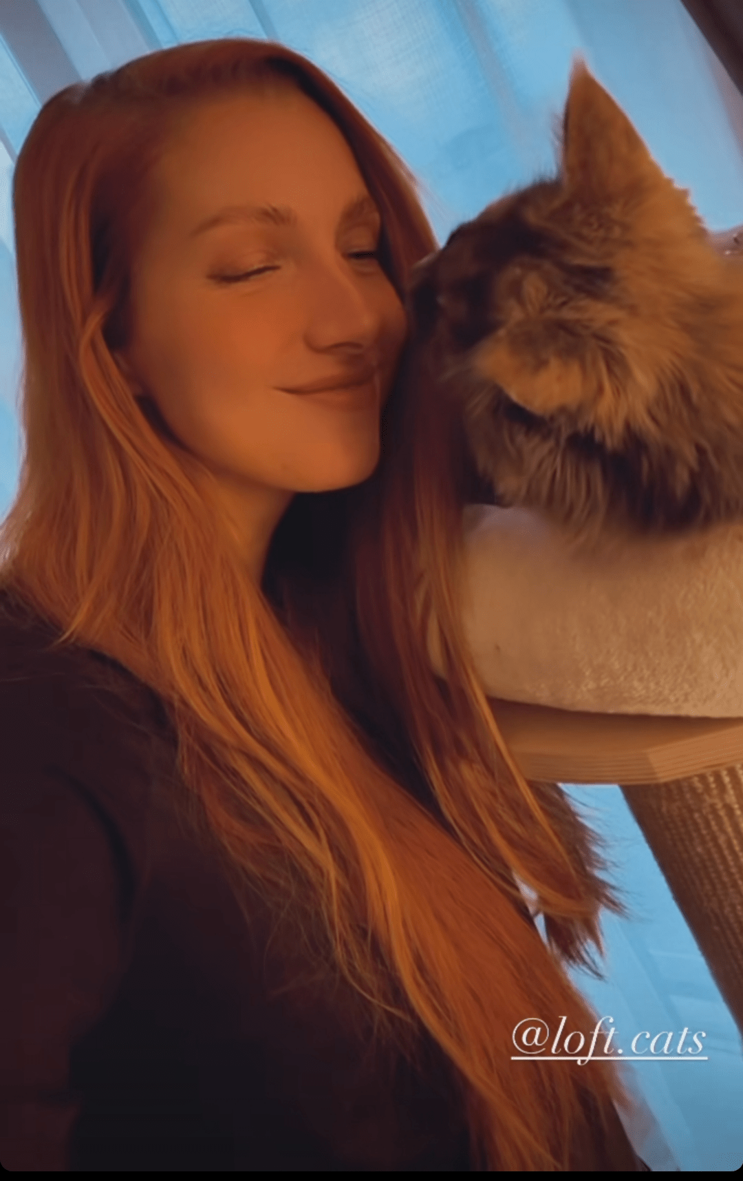 Schmusekatze r/lovly_LaraLoft