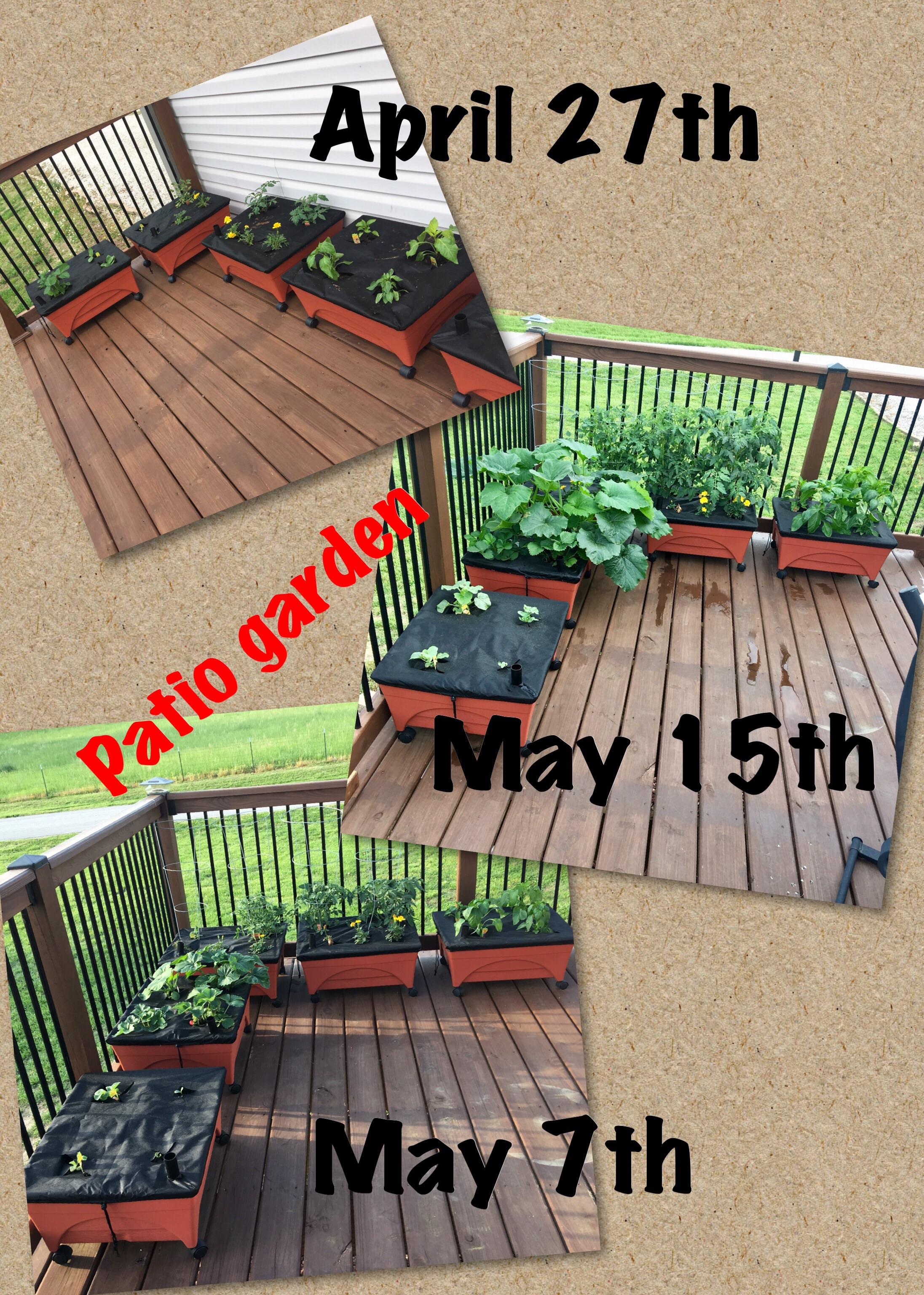 37 best r/patiogardening images on Pholder My humble space