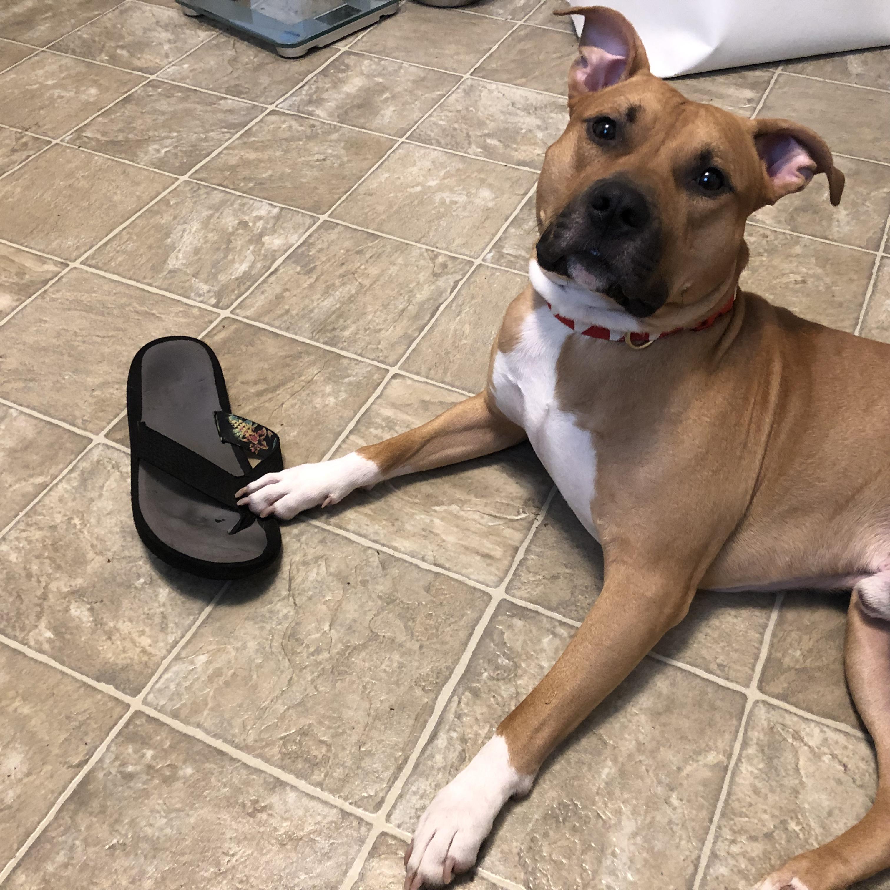 Clarke is on a diet because he’s a fat hippo. This upsets Clarke so he