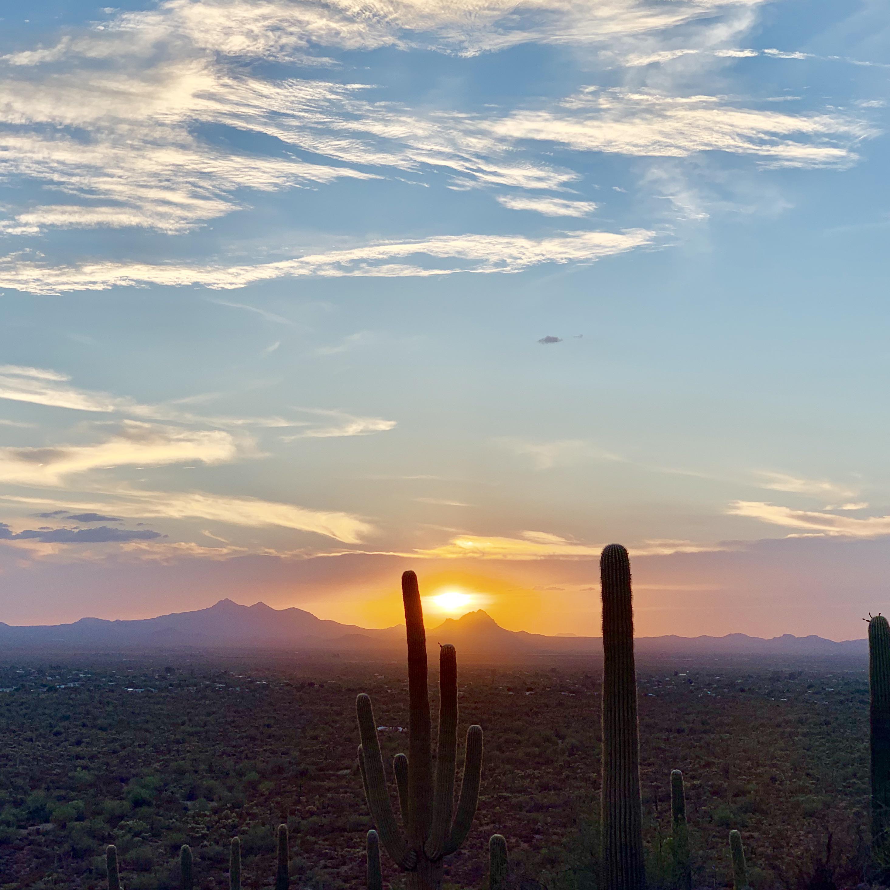 Sunset in Tucson, Arizona r/SkyPorn
