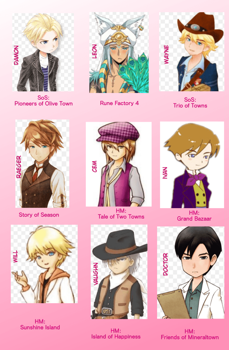 My Bachelor Choice r/harvestmoon