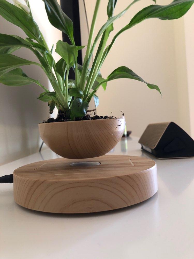 Levitating Plant Pot r/mildlyinteresting