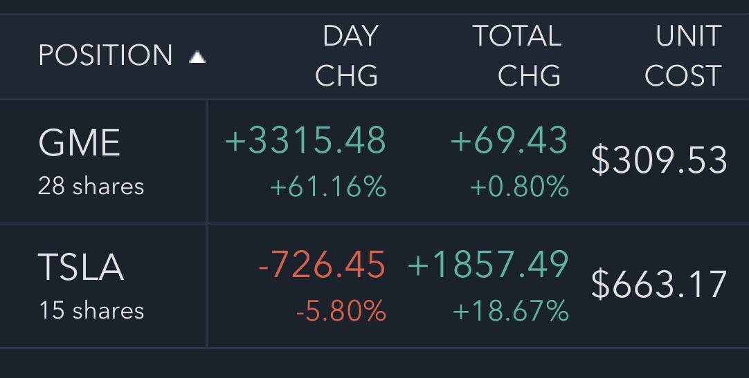 Hedging TSLA with GME. Who cares if SS crashes the market