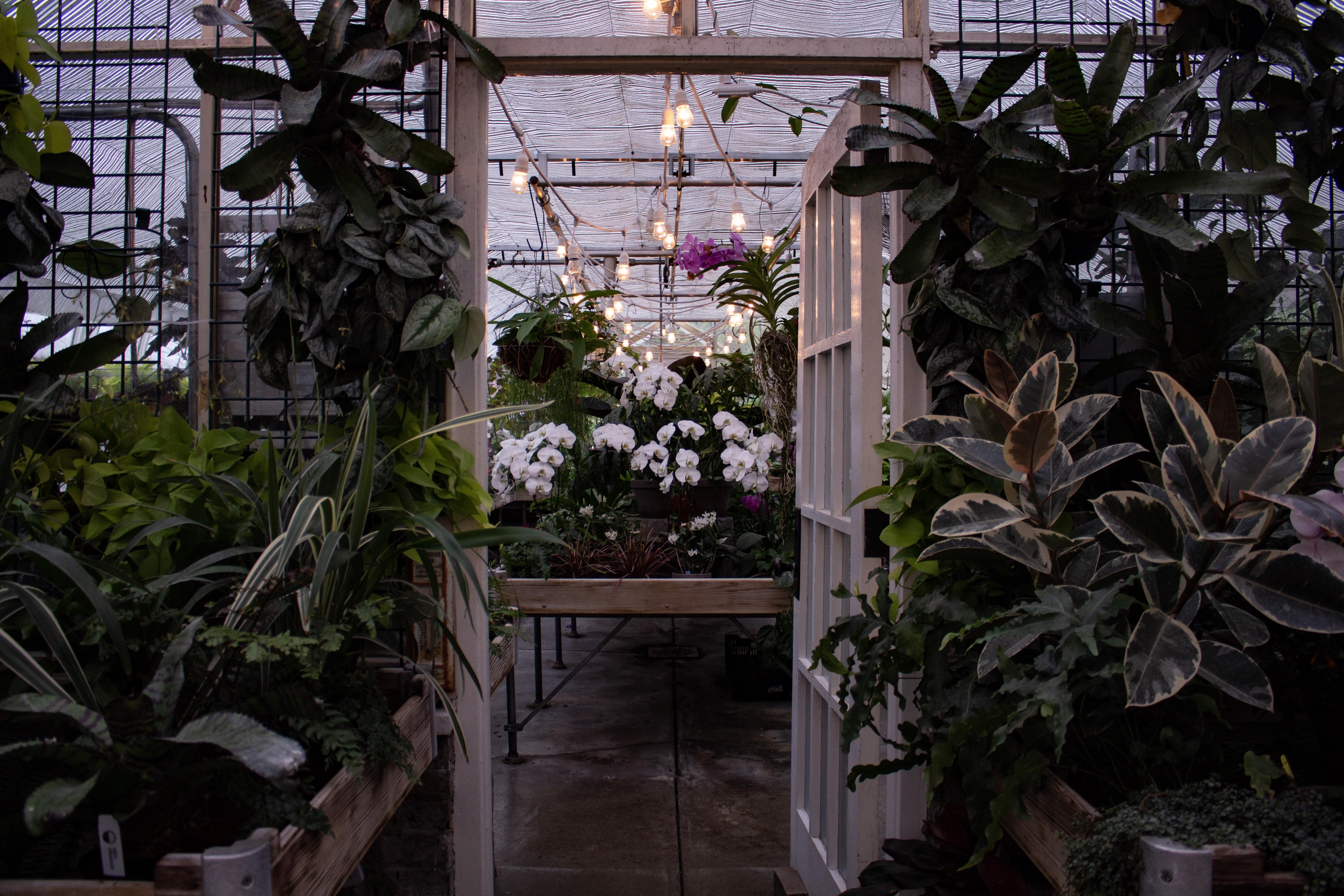 Greenhouse at Newfields r/indianapolis