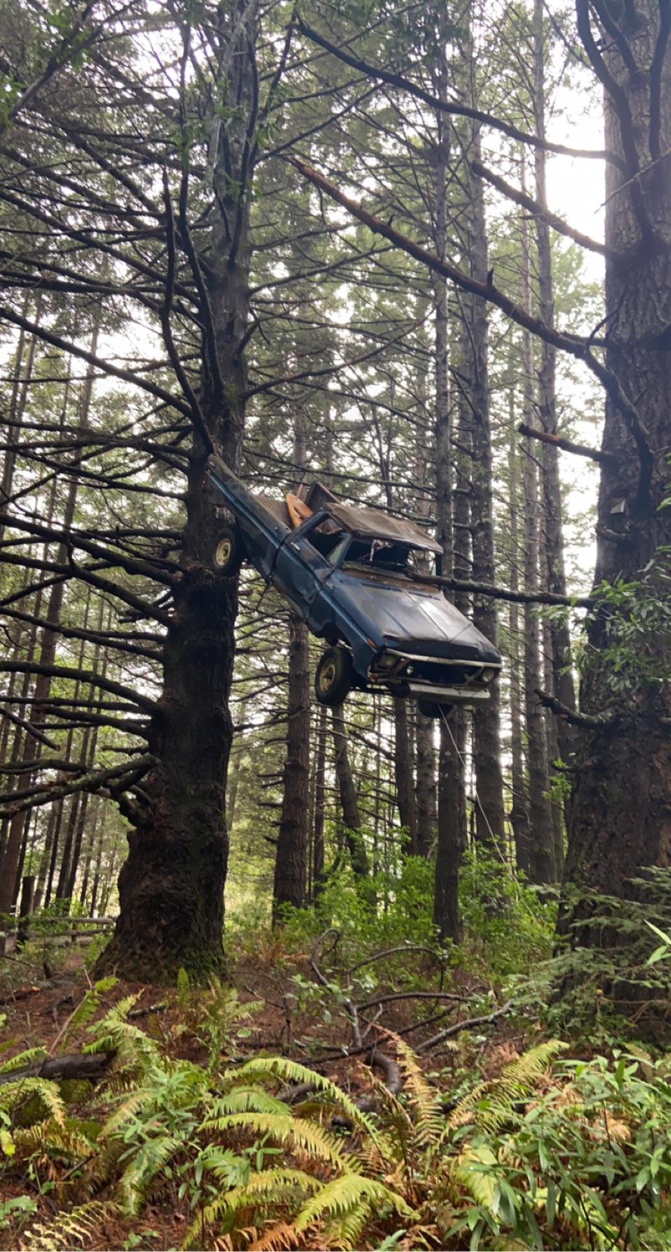 Old Ford in a tree. Humboldt County CA AbandonedPorn