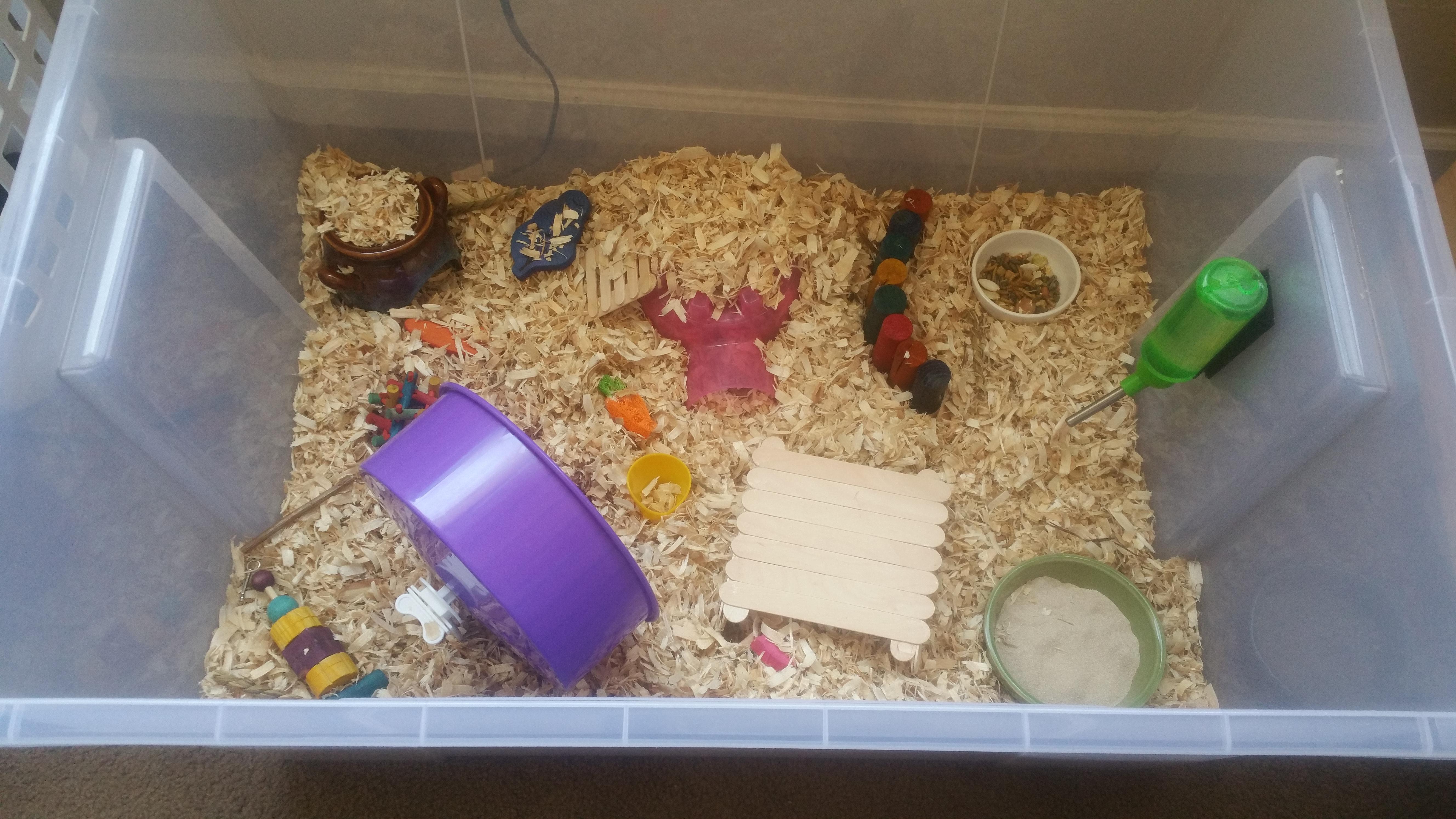 Just cleaned out my new hamsters cage after a month. Switched from