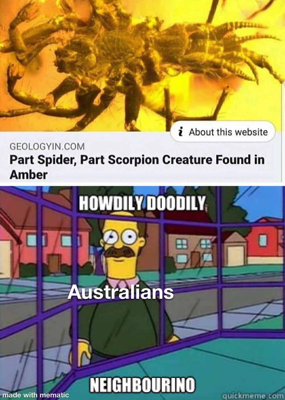 The girl next door r/memes