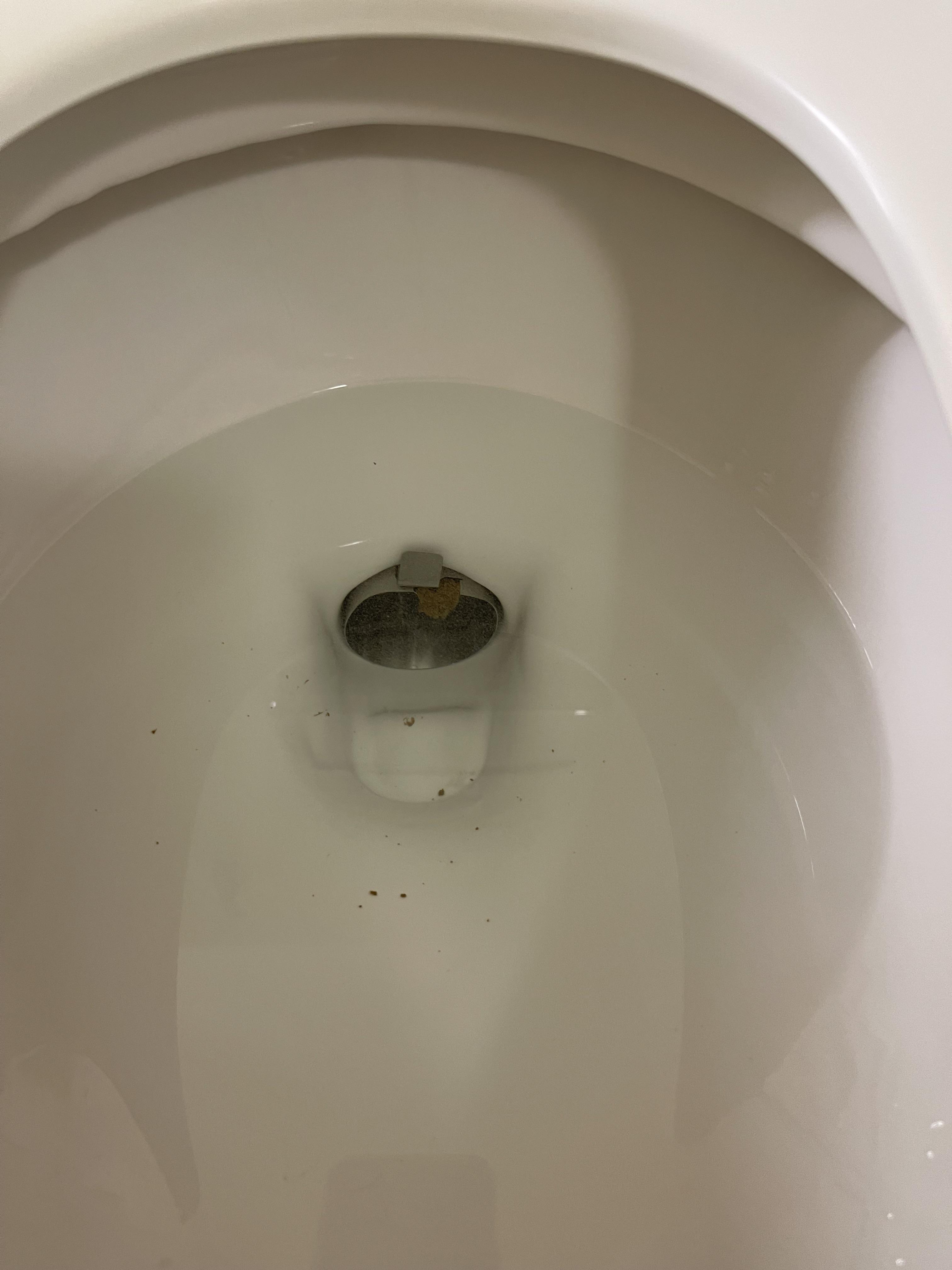 Crappy toilet insert r/CrappyDesign