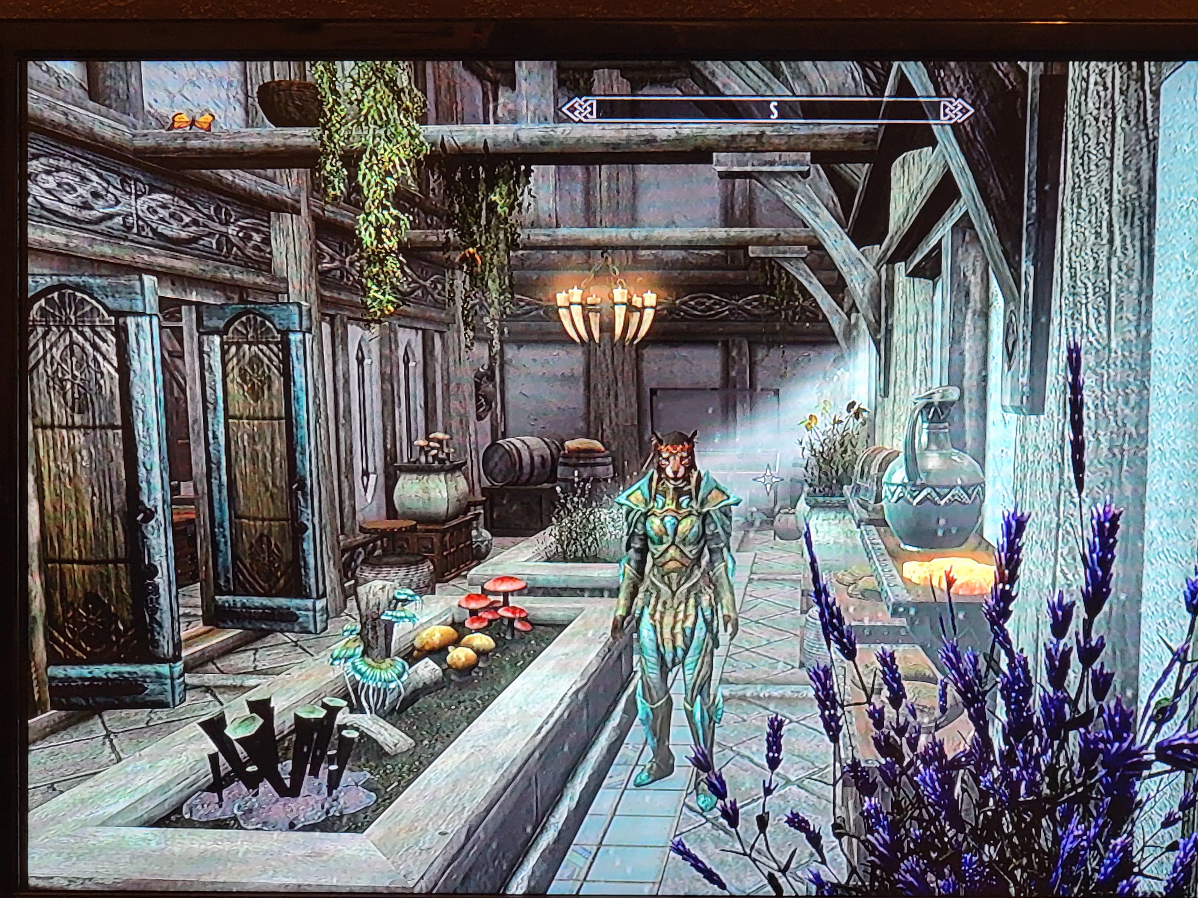 My greenhouse, gonna fill it with rare plants & fungi! r/skyrim