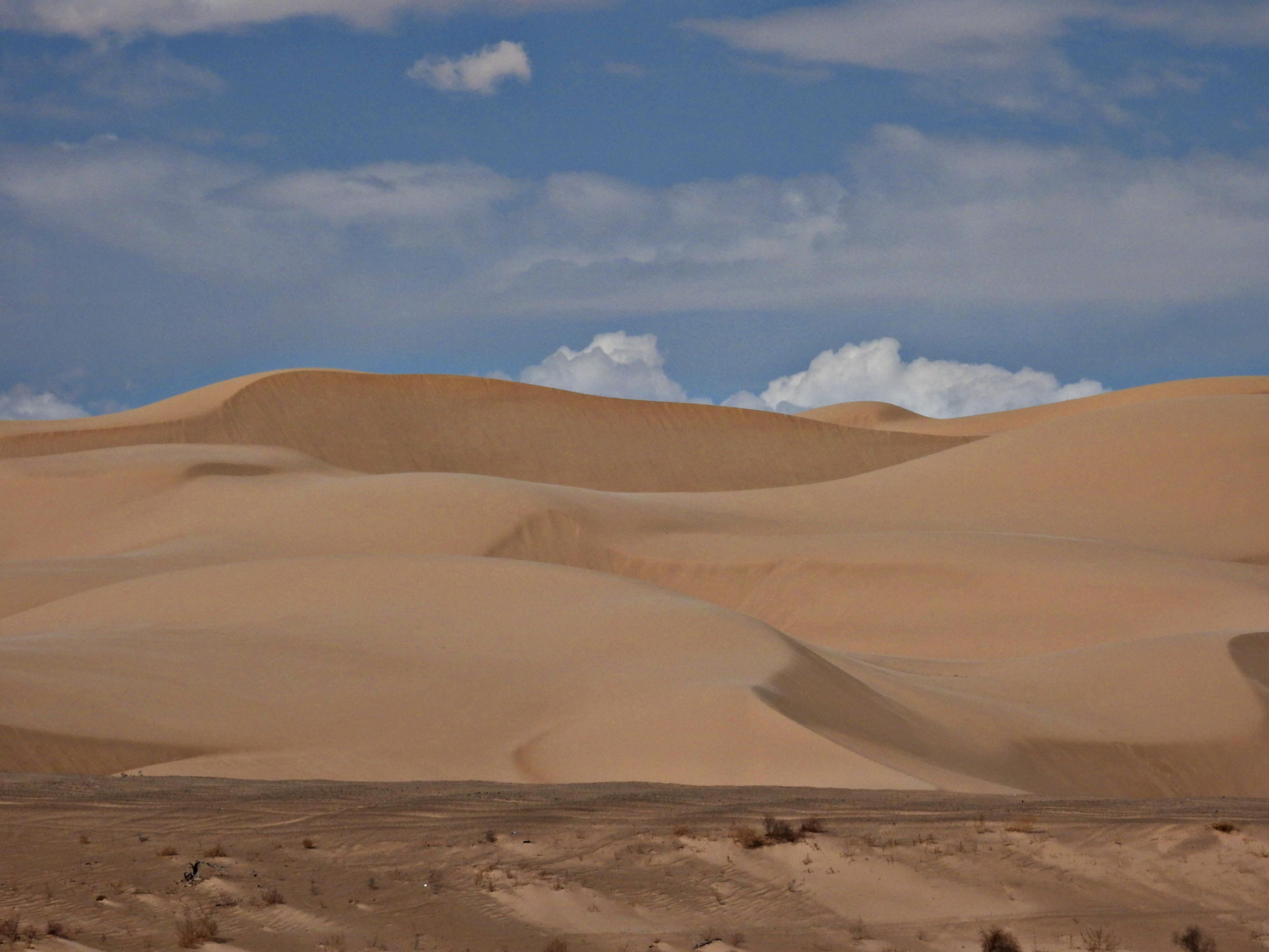 Sand Dunes of Yuma, AZ photographs