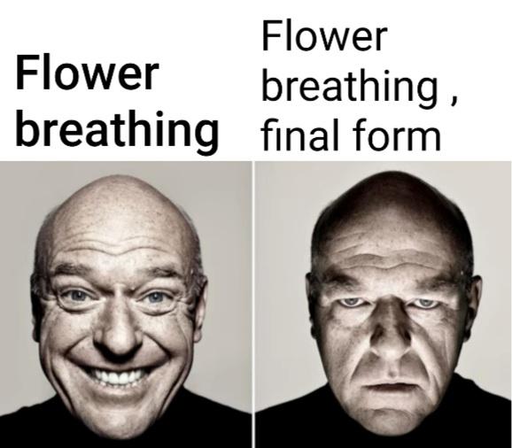 Flower breathing sounds cute r/MemetsuNoYaiba