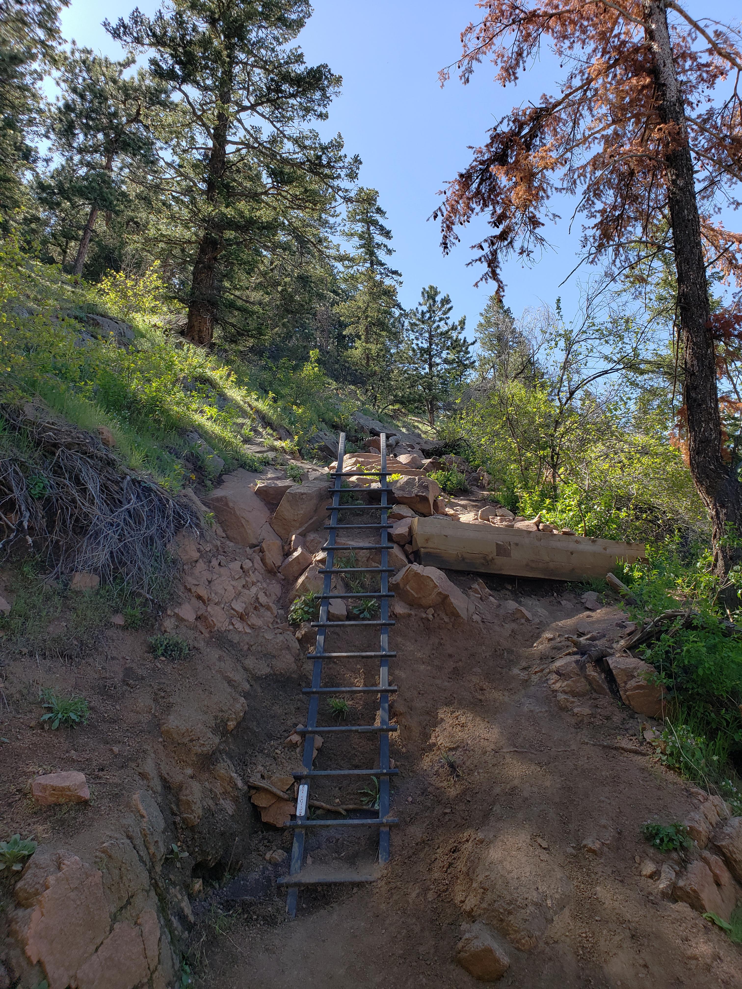 A ladder in the mountains (Saddle Rock Trail, Boulder CO) r/hiking