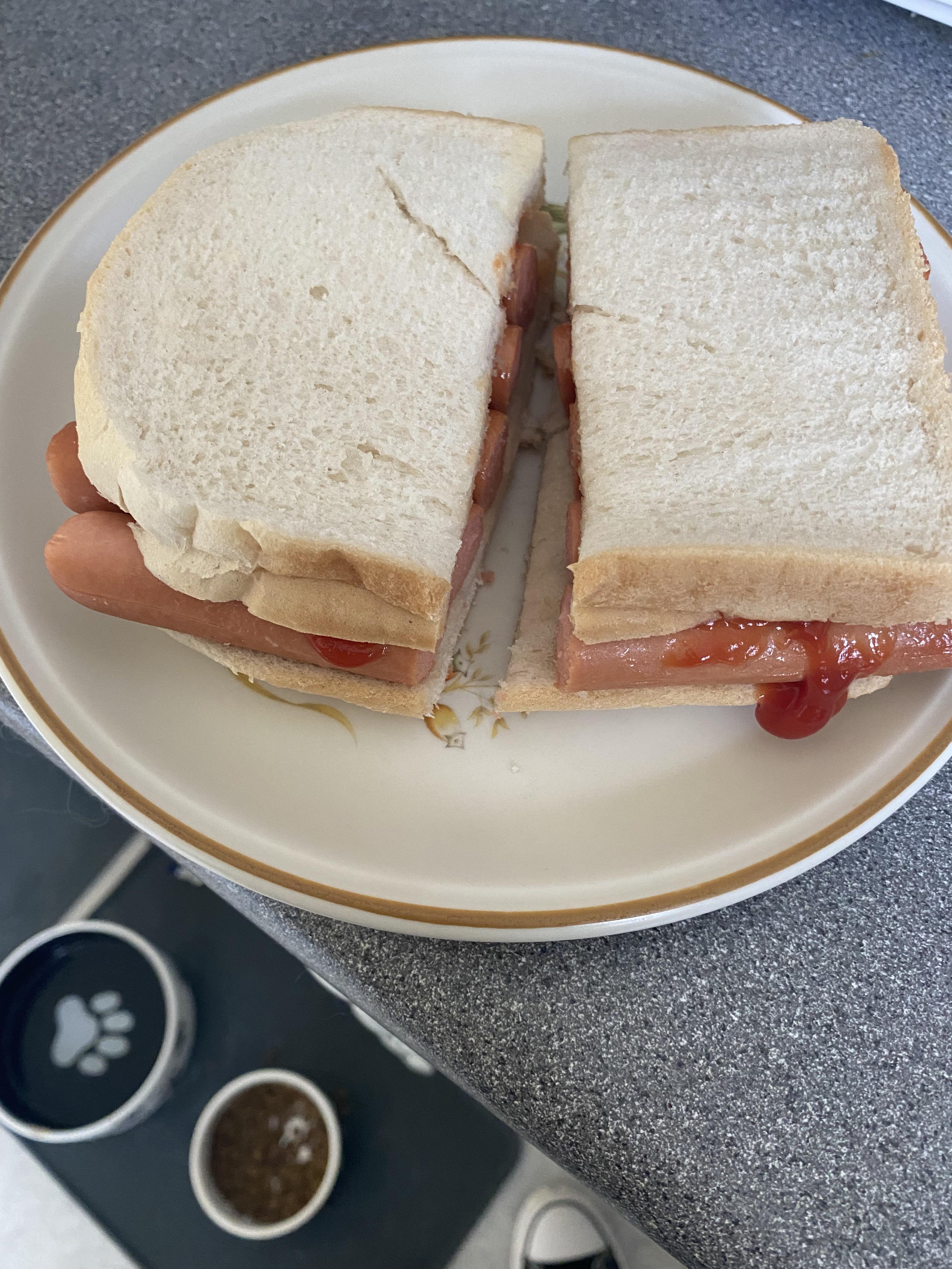 The hotdog buns had expired so I had to improvise r/shittyfoodporn