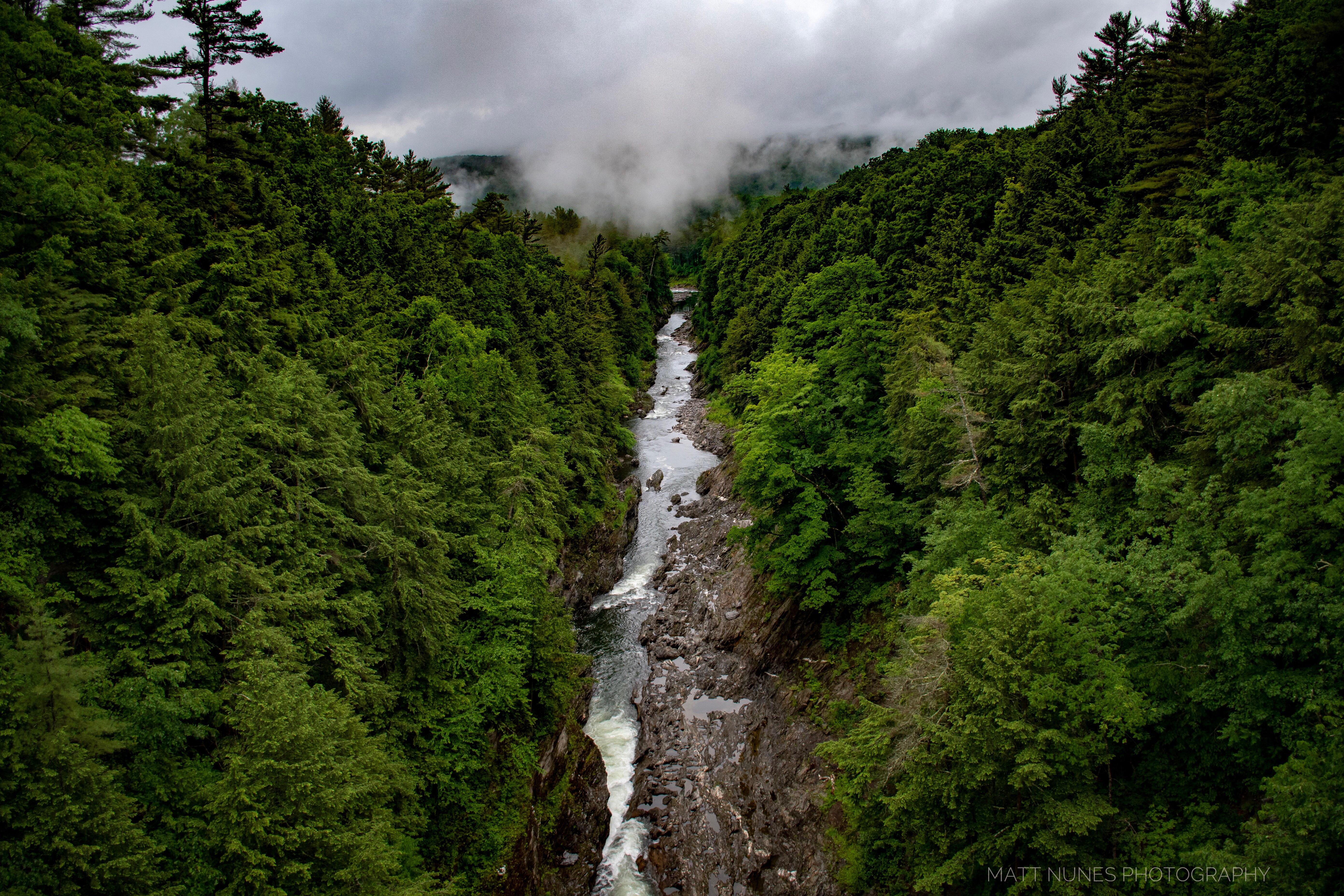 Rainy day in VT r/vermont