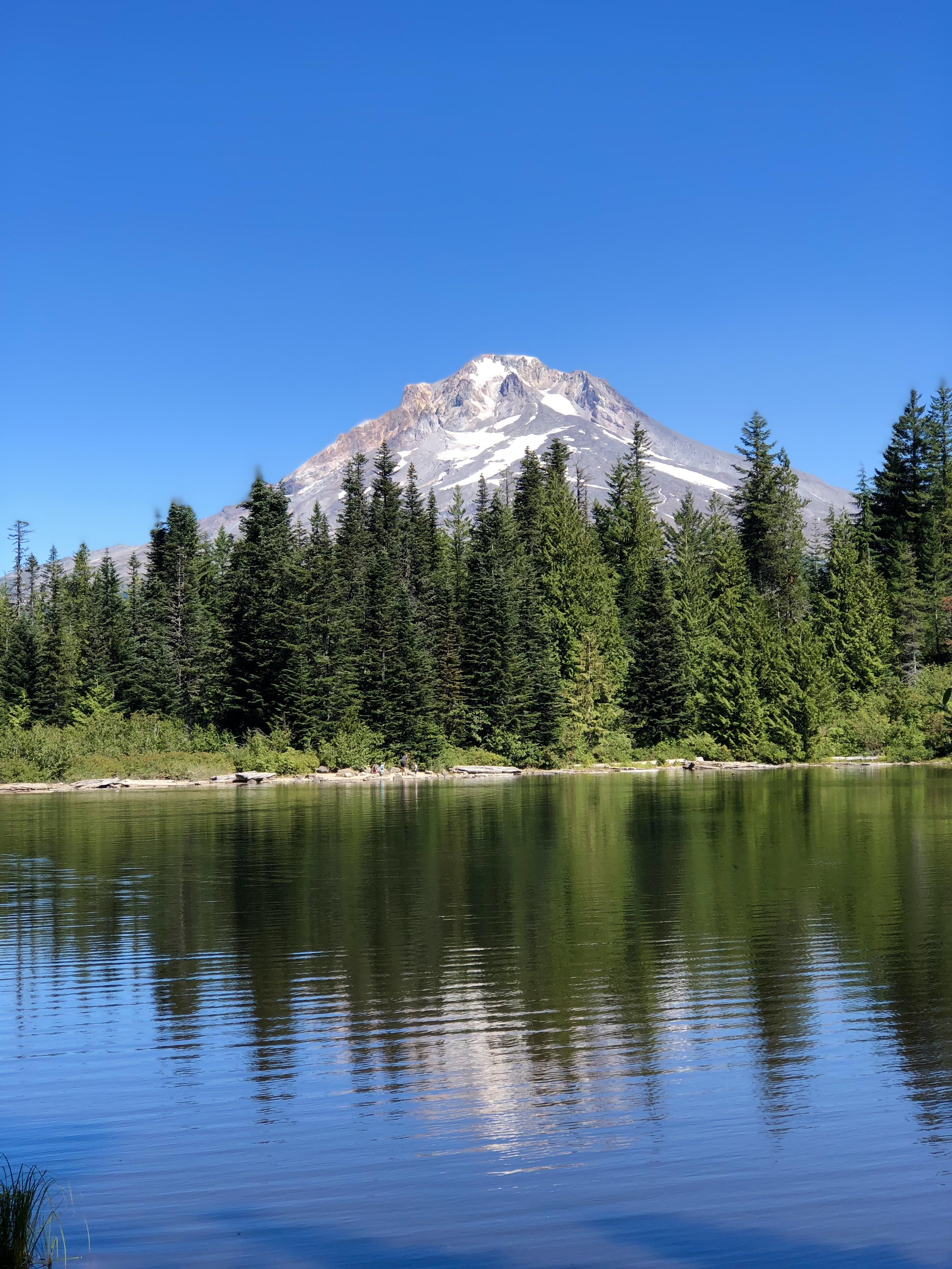 Hiked the Mirror Lake trail on Mt. Hood for the first time and caught this great view. r/Portland