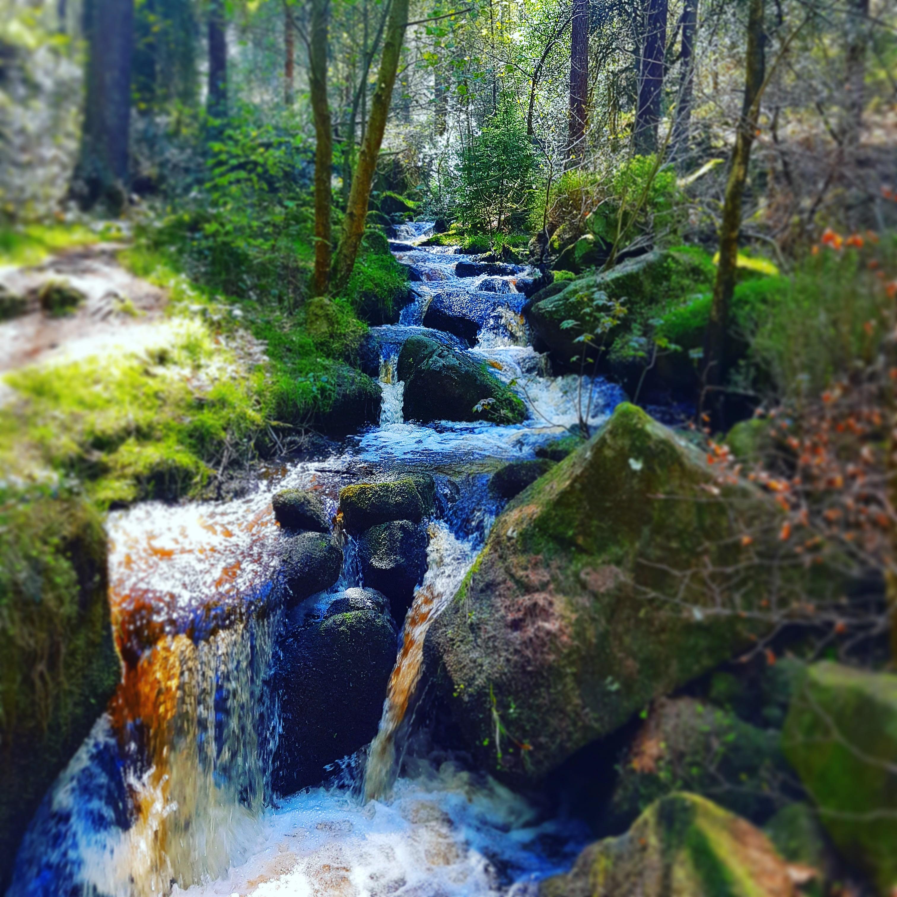 Wyming brook nature reserve, Sheffield [3024×3024] Wallpaperable