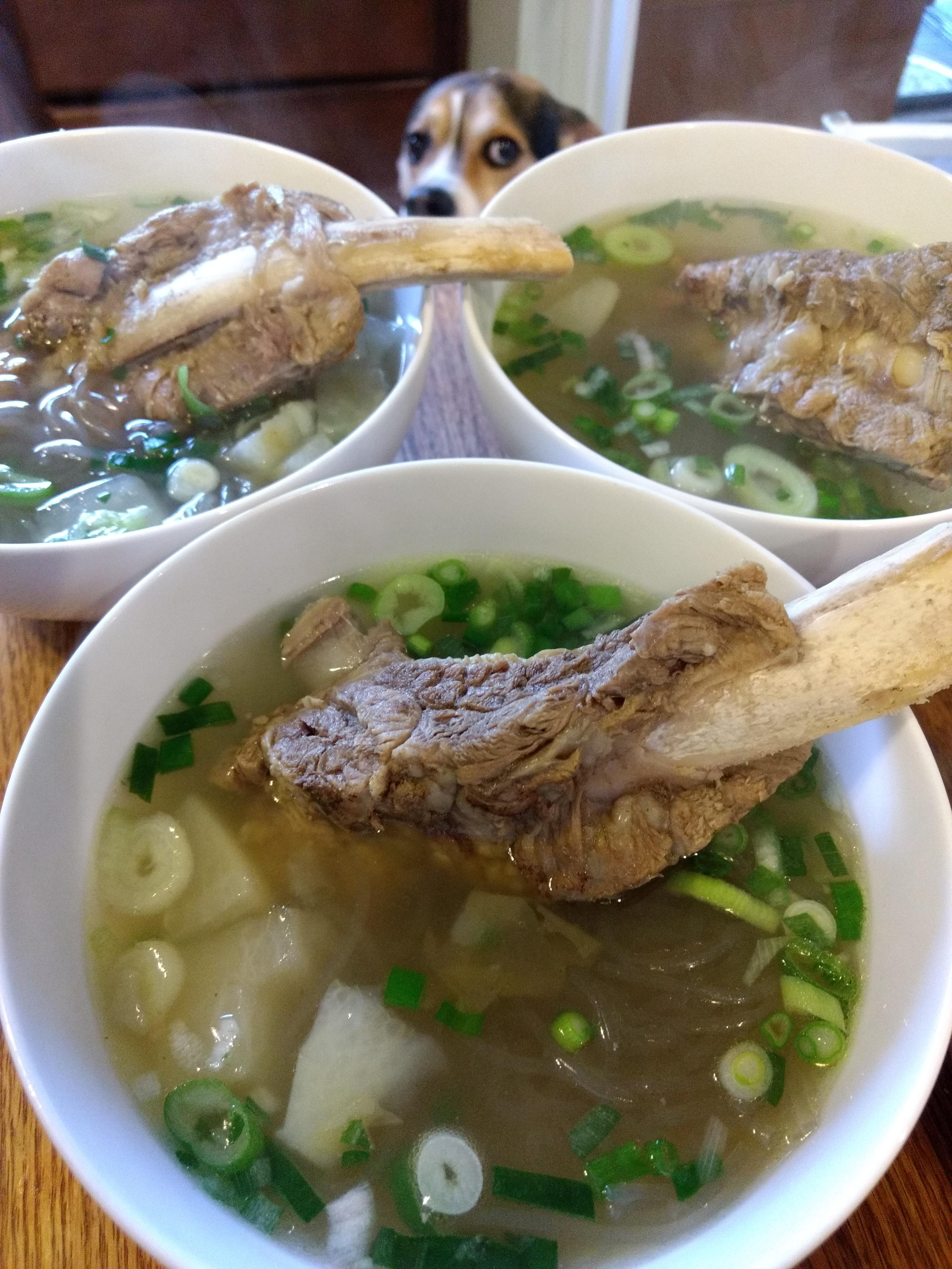 Galbitang (beef rib soup) r/FoodPorn