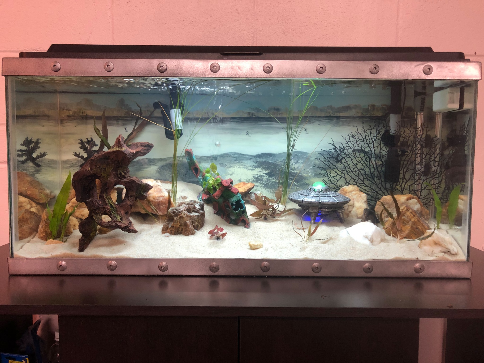 Fallout themed aquarium r/Aquariums