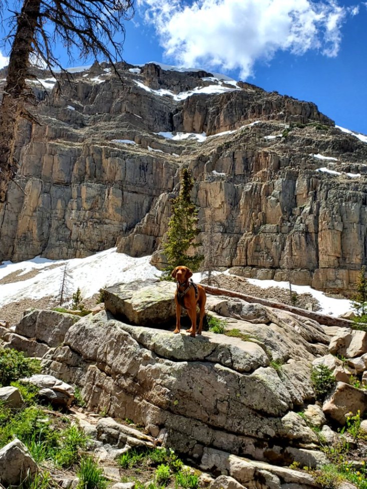 Backpacking through High Uintas, Utah, Lake Ibantik Trail with my buddy