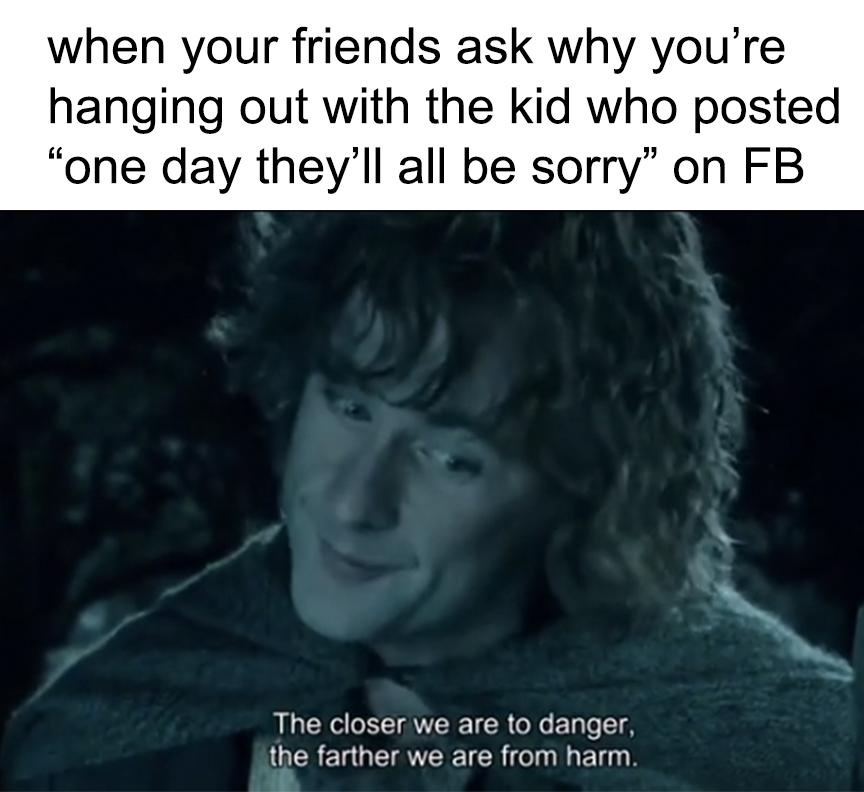 Fool of a Took! dankmemes