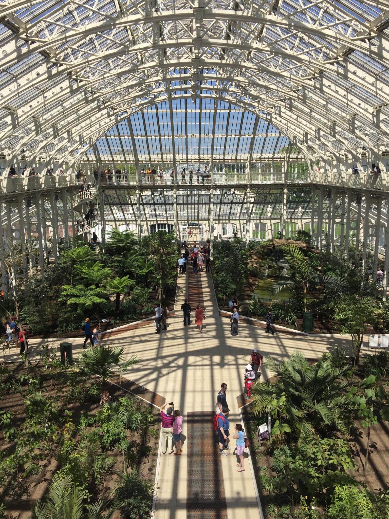 The Temperate House in Kew Gardens opened again today after five years and it’s pretty