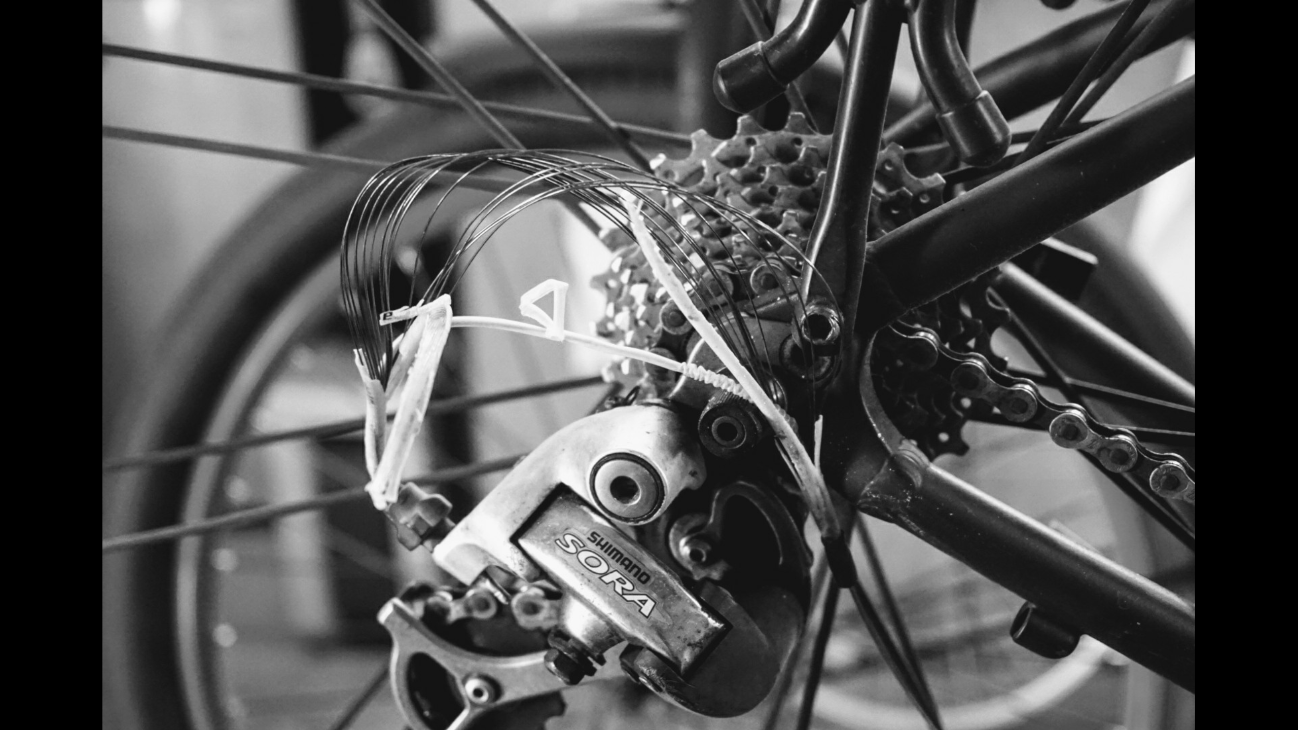 "My gears don't shift as smooth as they used to.." r/Justridingalong