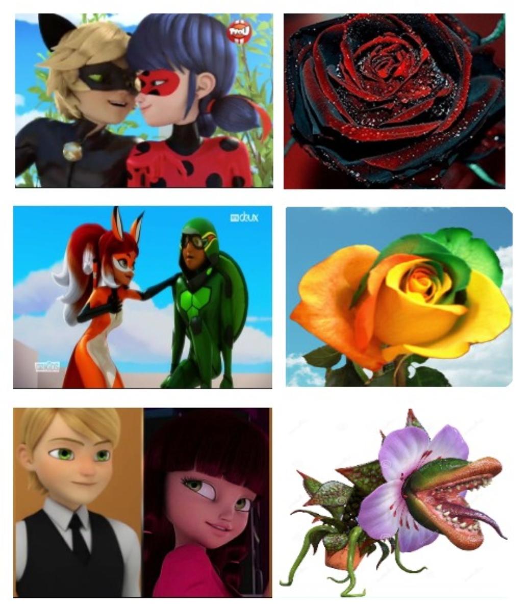 Miraculous ships represented by flowers! r/miraculousladybug