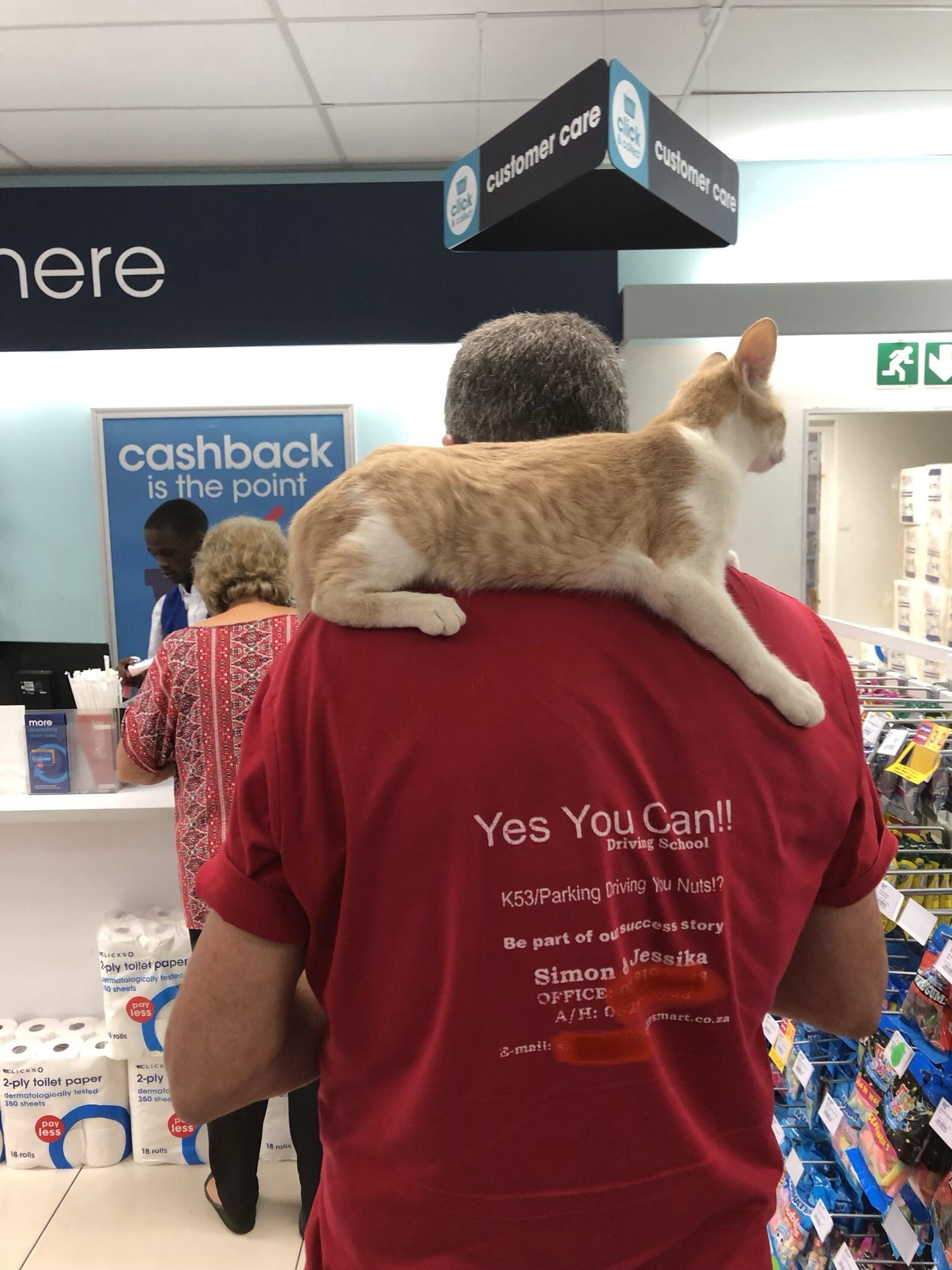 Man and his cat just doing some shopping at a local mall r