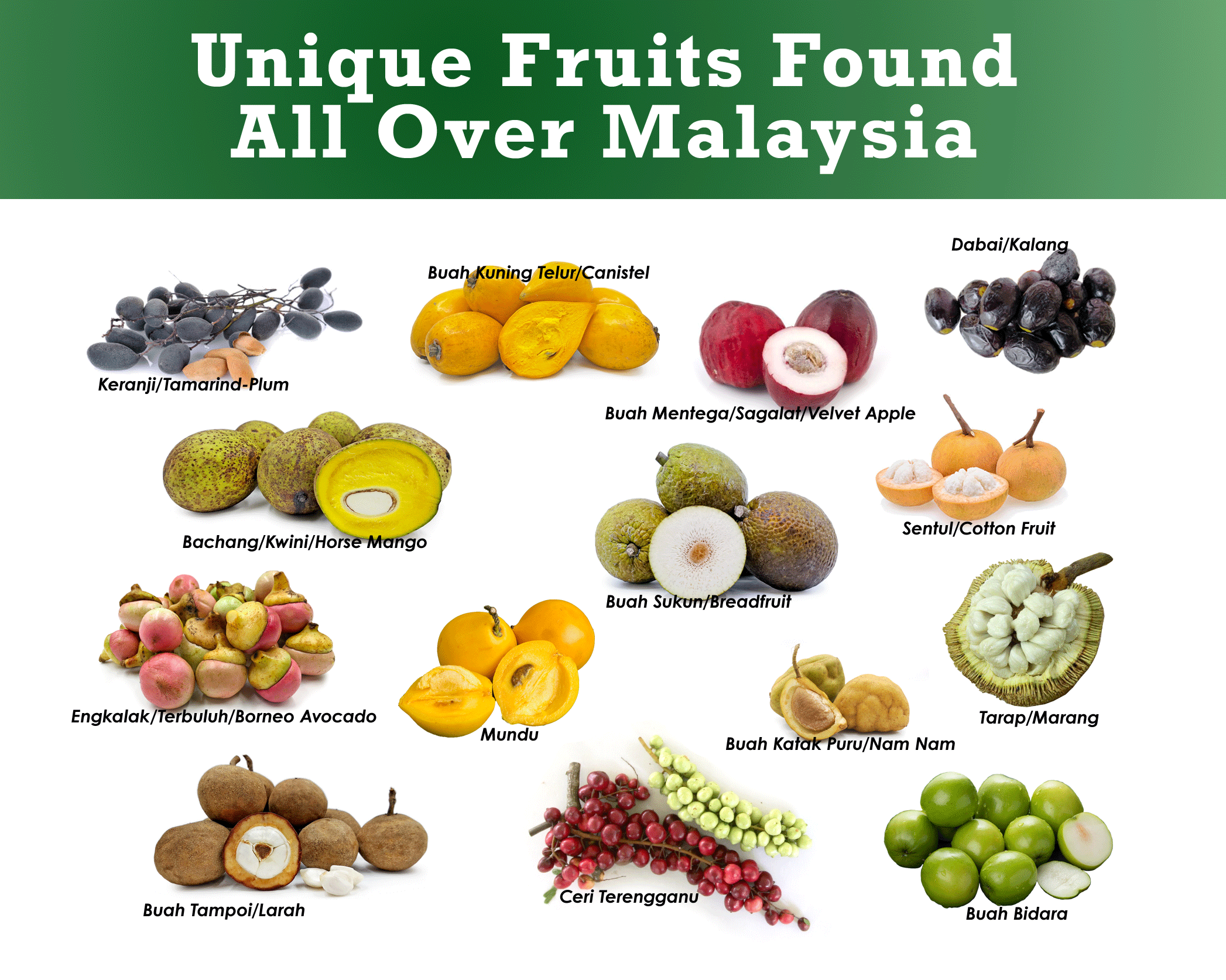 Unique fruits found all over Malaysia. How many have you tried before
