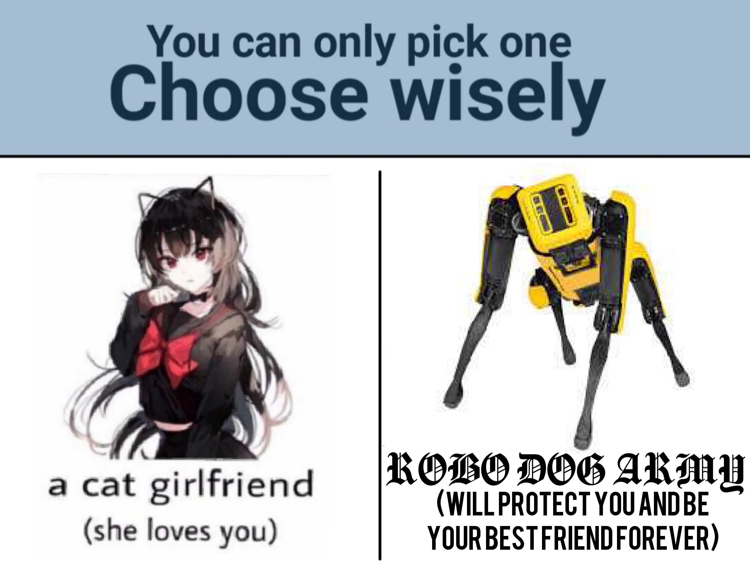 This is not a trick question. memes