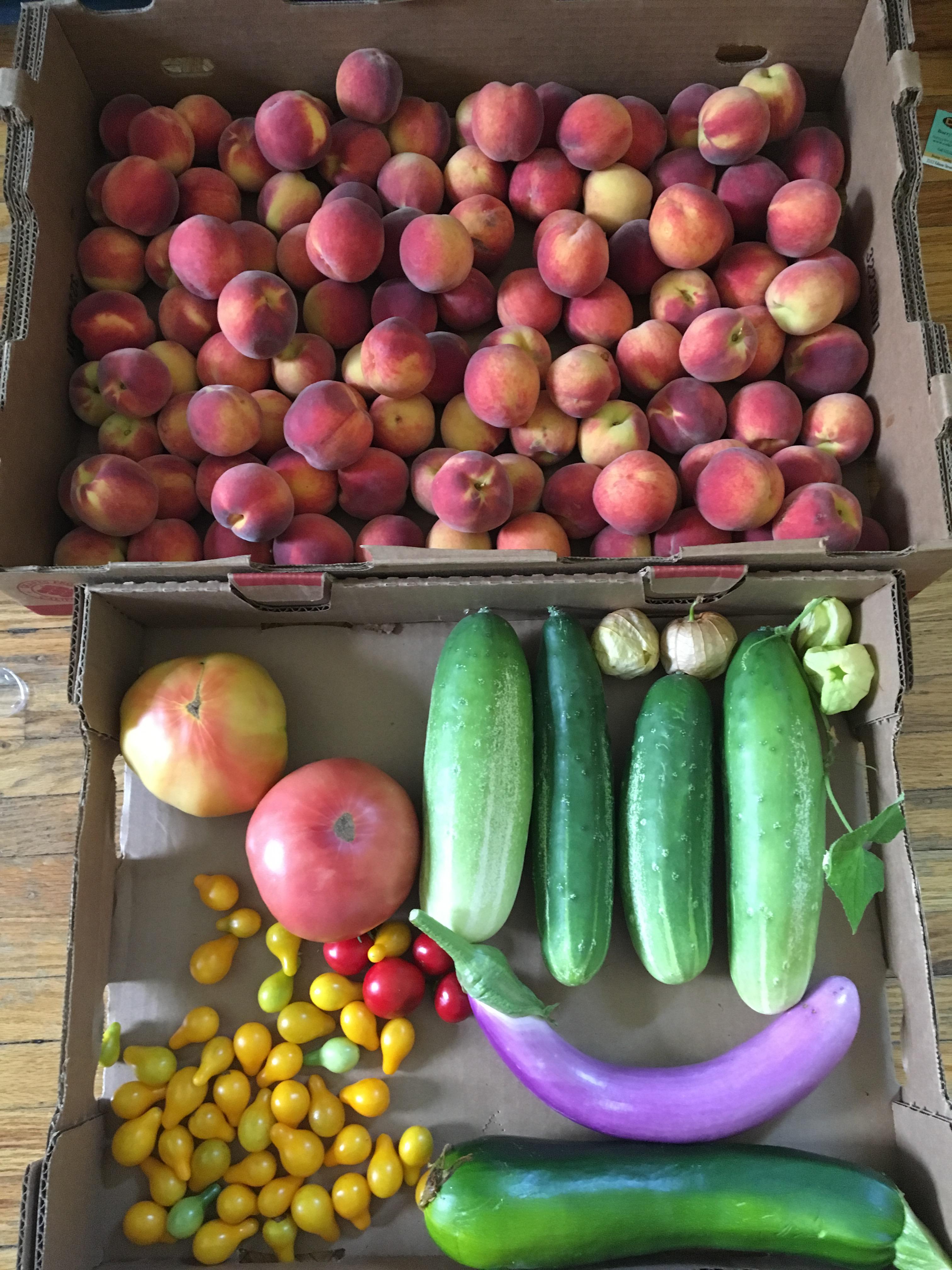 17 pounds of peaches! A wonderful harvest this morning! r/gardening