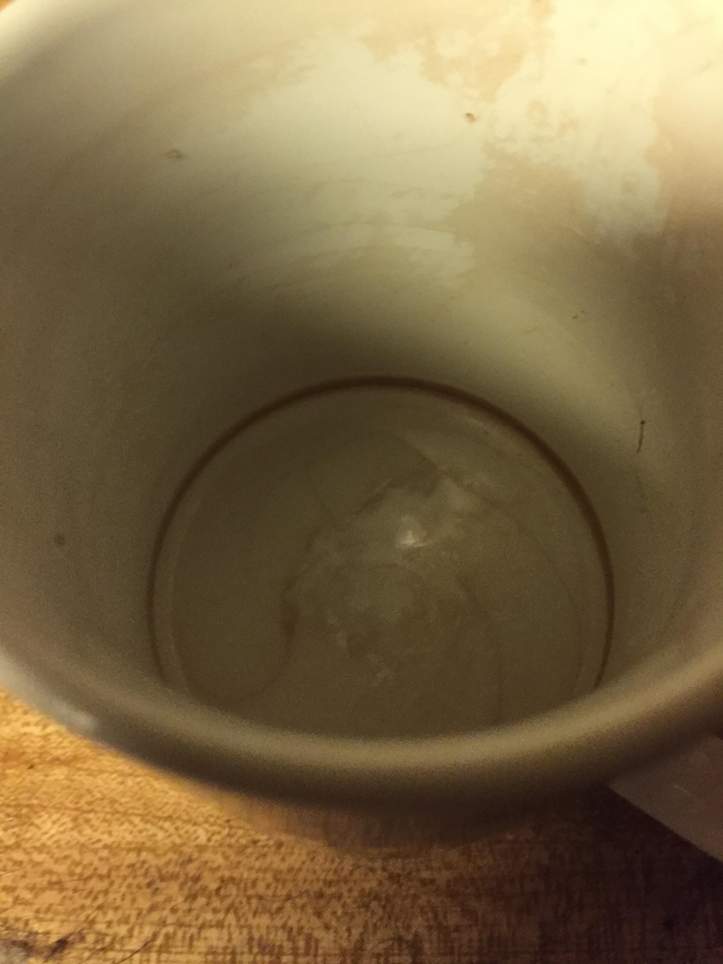 Suggestions to get rid of tea stains from mugs? This one just came out of the dishwasher. r/tea