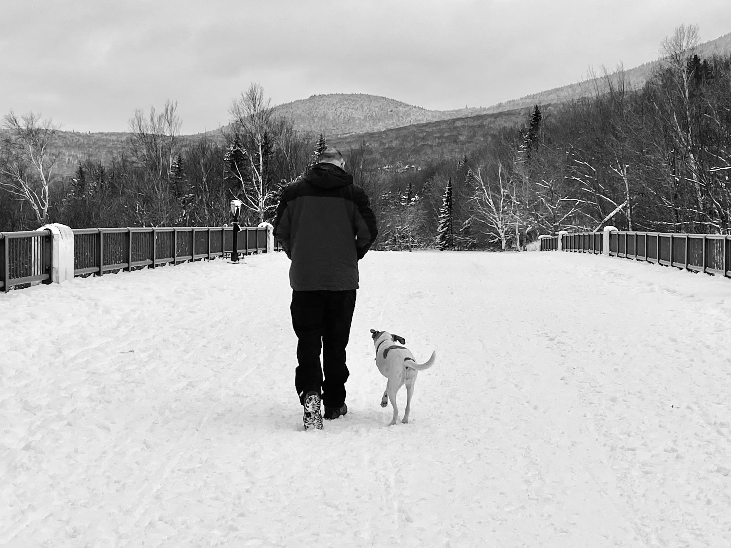 194 best Miss Daisy images on Pholder Electricdaisycarnival, Aww and