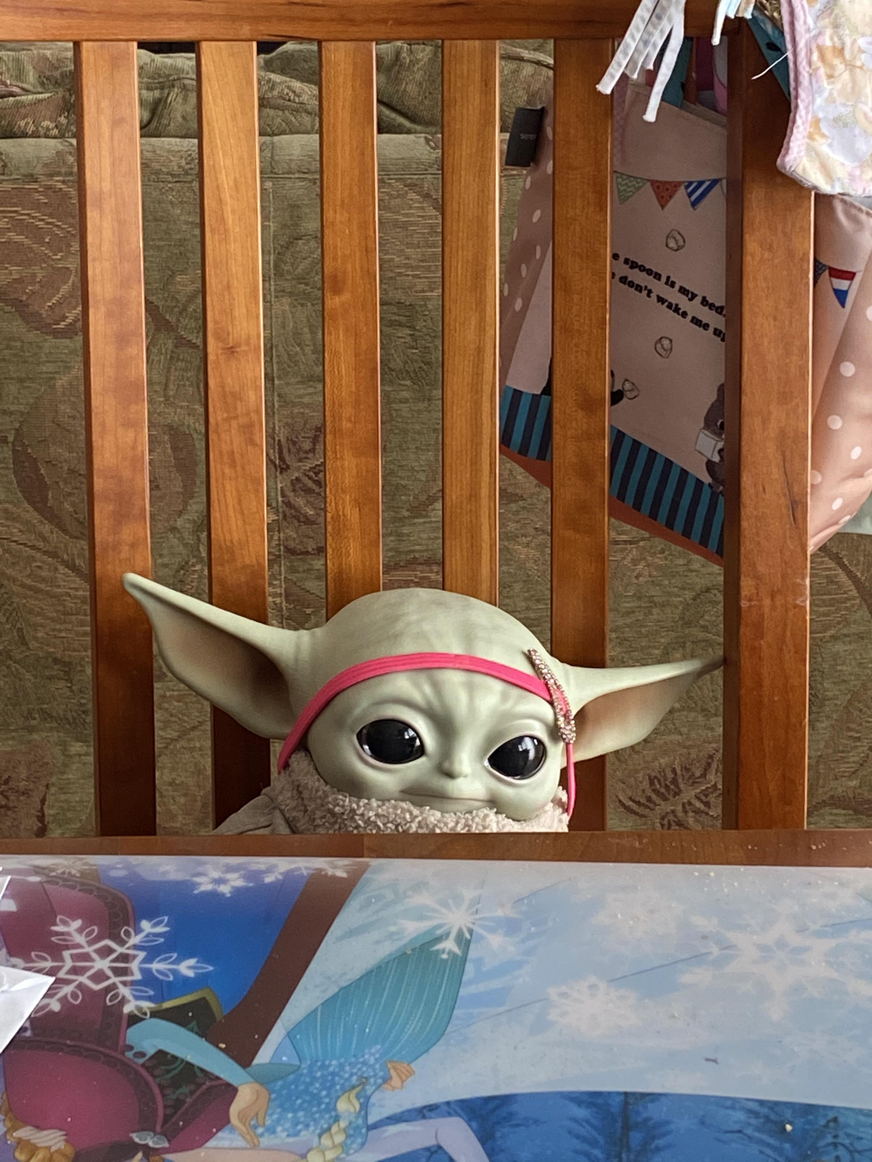 My Baby Yoda looks like that cat meme r/BabyYoda