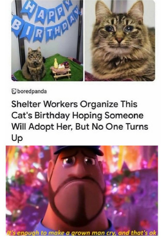 This is so sad memes