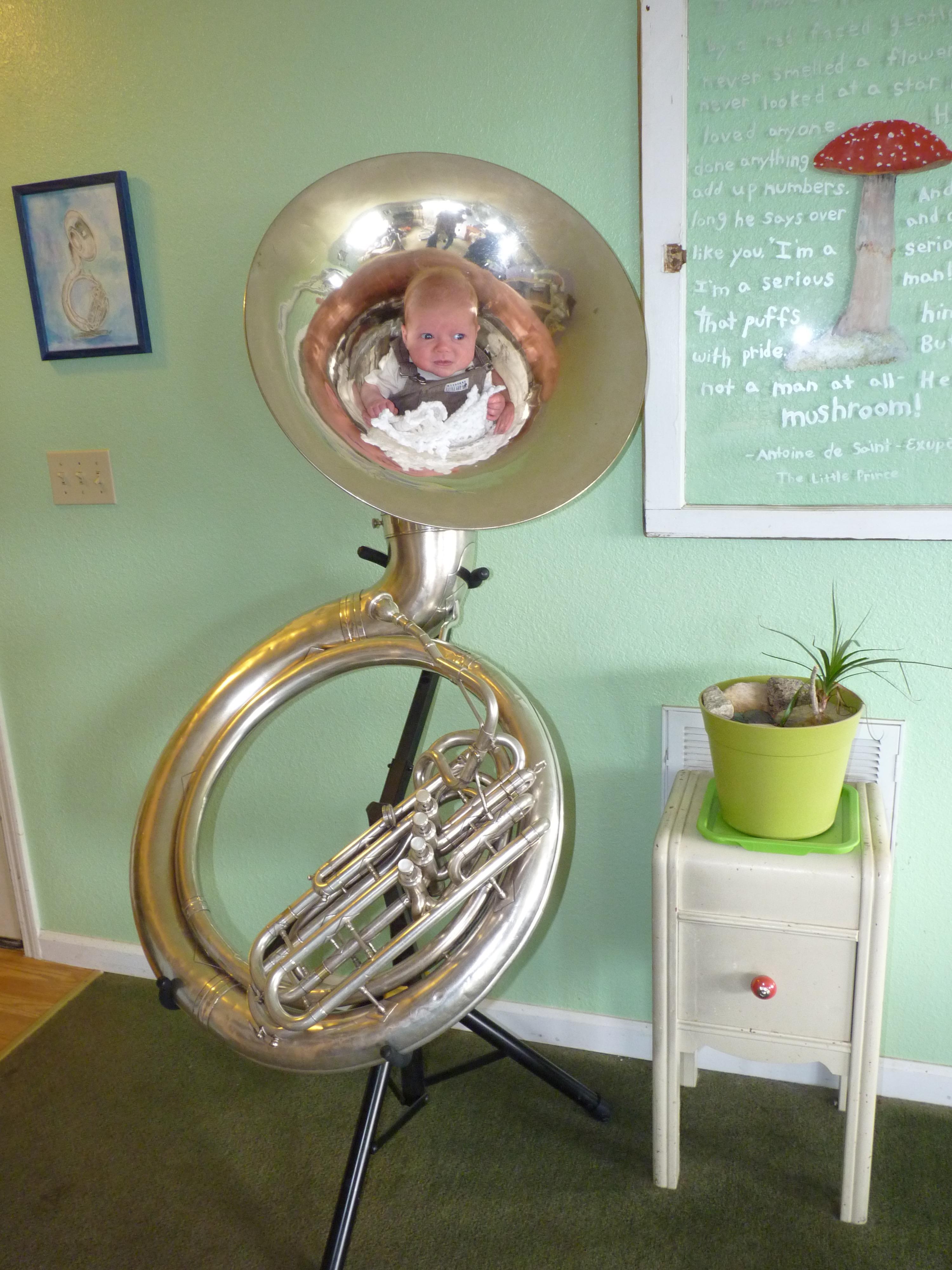 Homemade tuba mute r/Tuba
