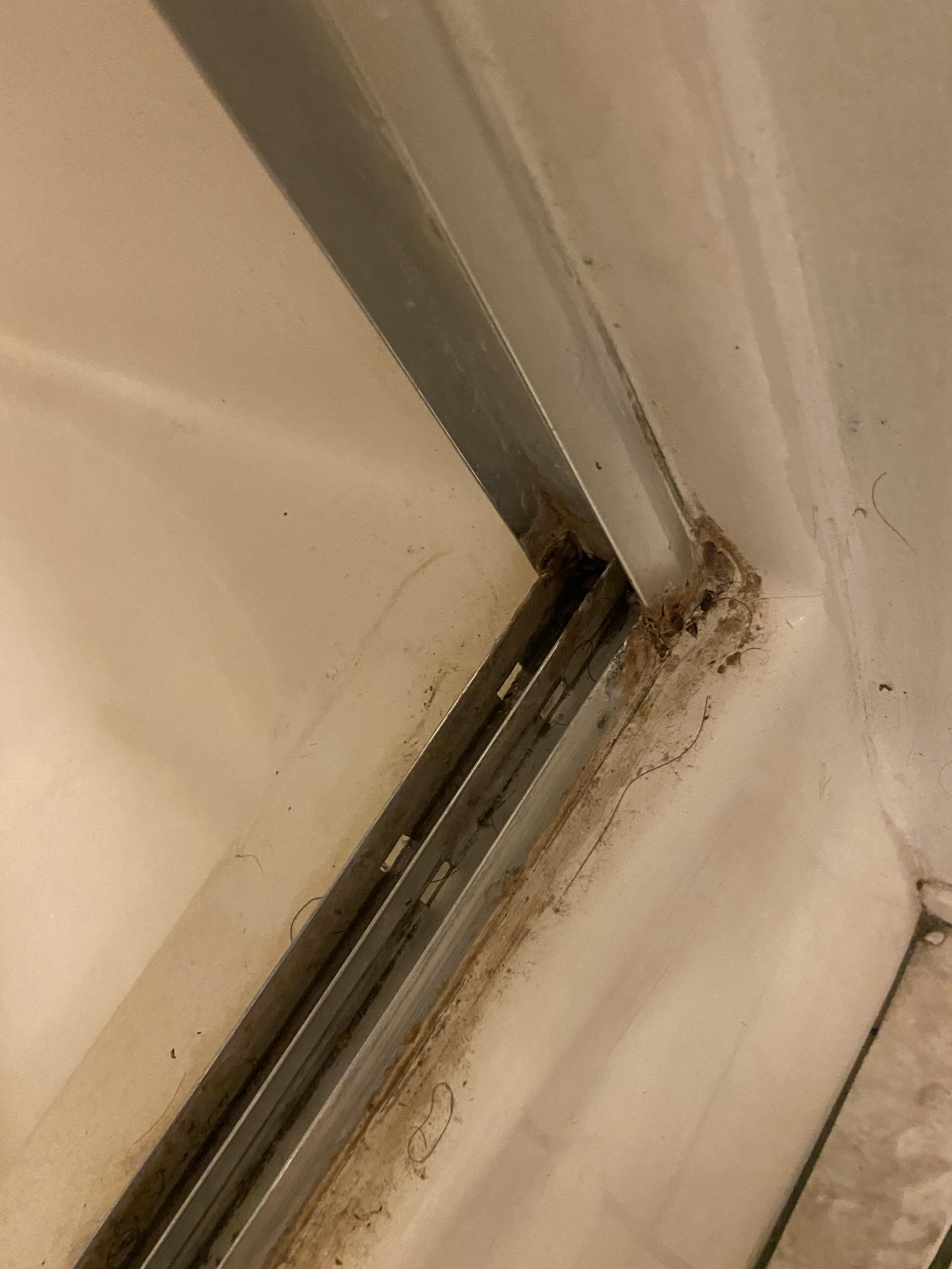how to clean disgusting shower railing/caulking? r/CleaningTips