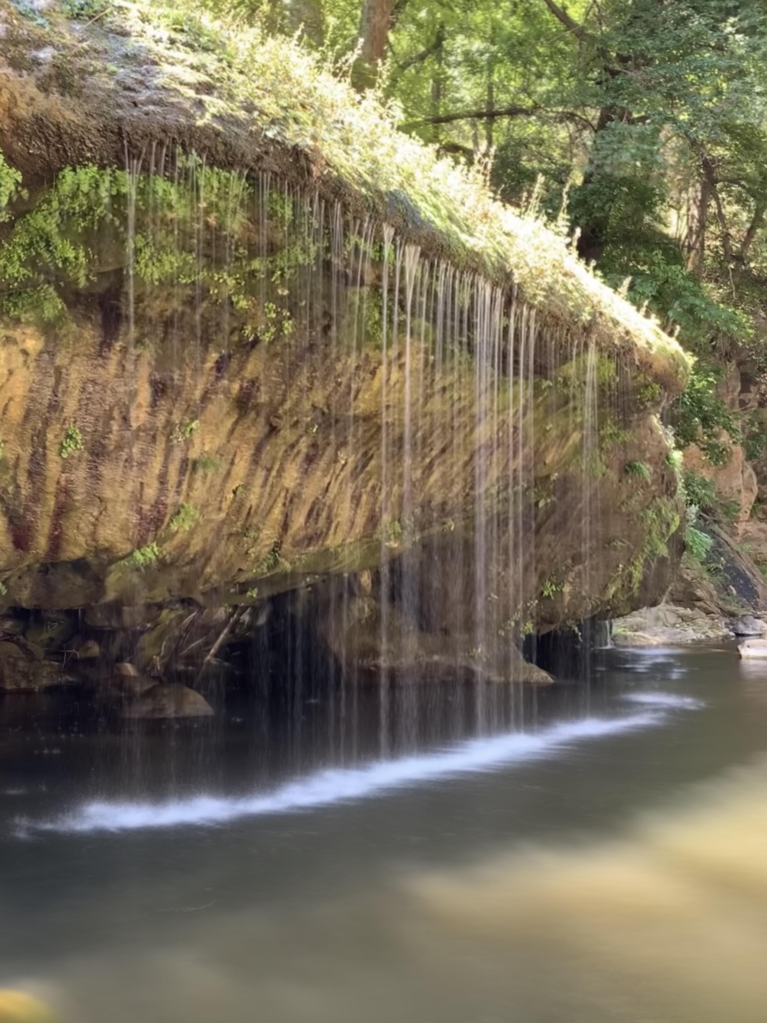 Hanging Gardens, West Clear Creek, Arizona r/hiking