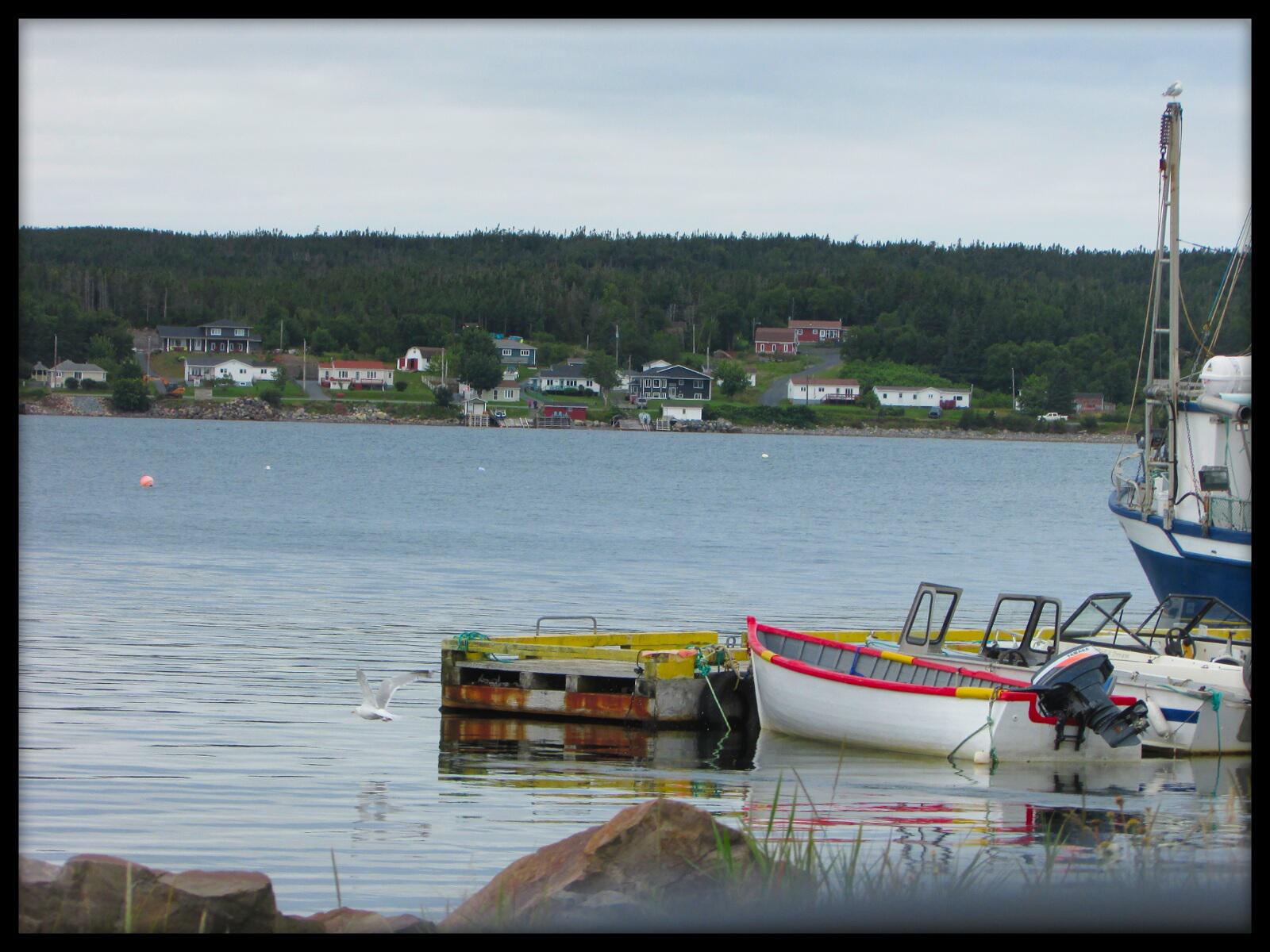 Hopeall r/newfoundland