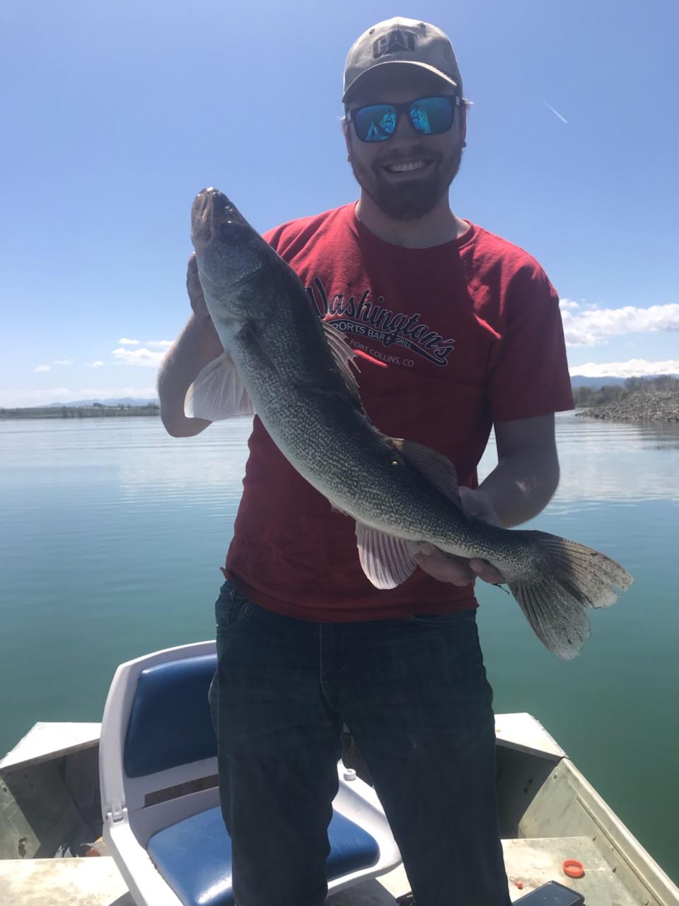 Walleye bite is on in [CO] r/Fishing