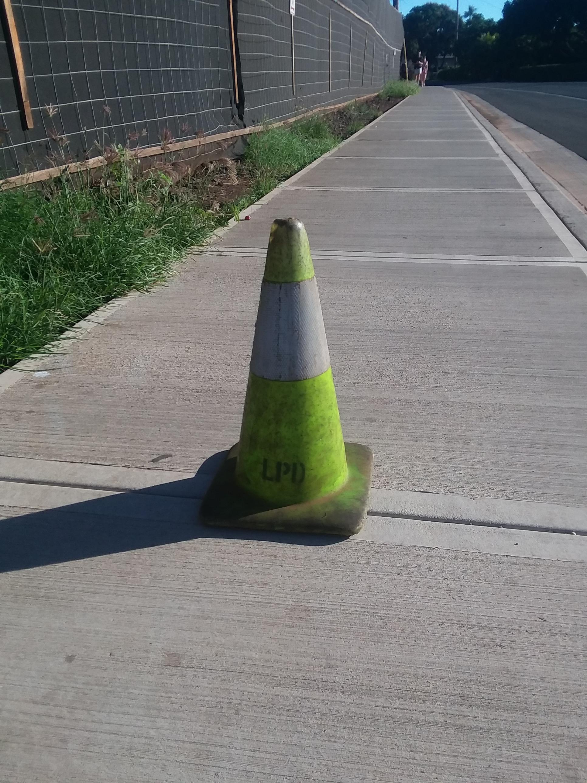 This green traffic cone r/mildlyinteresting