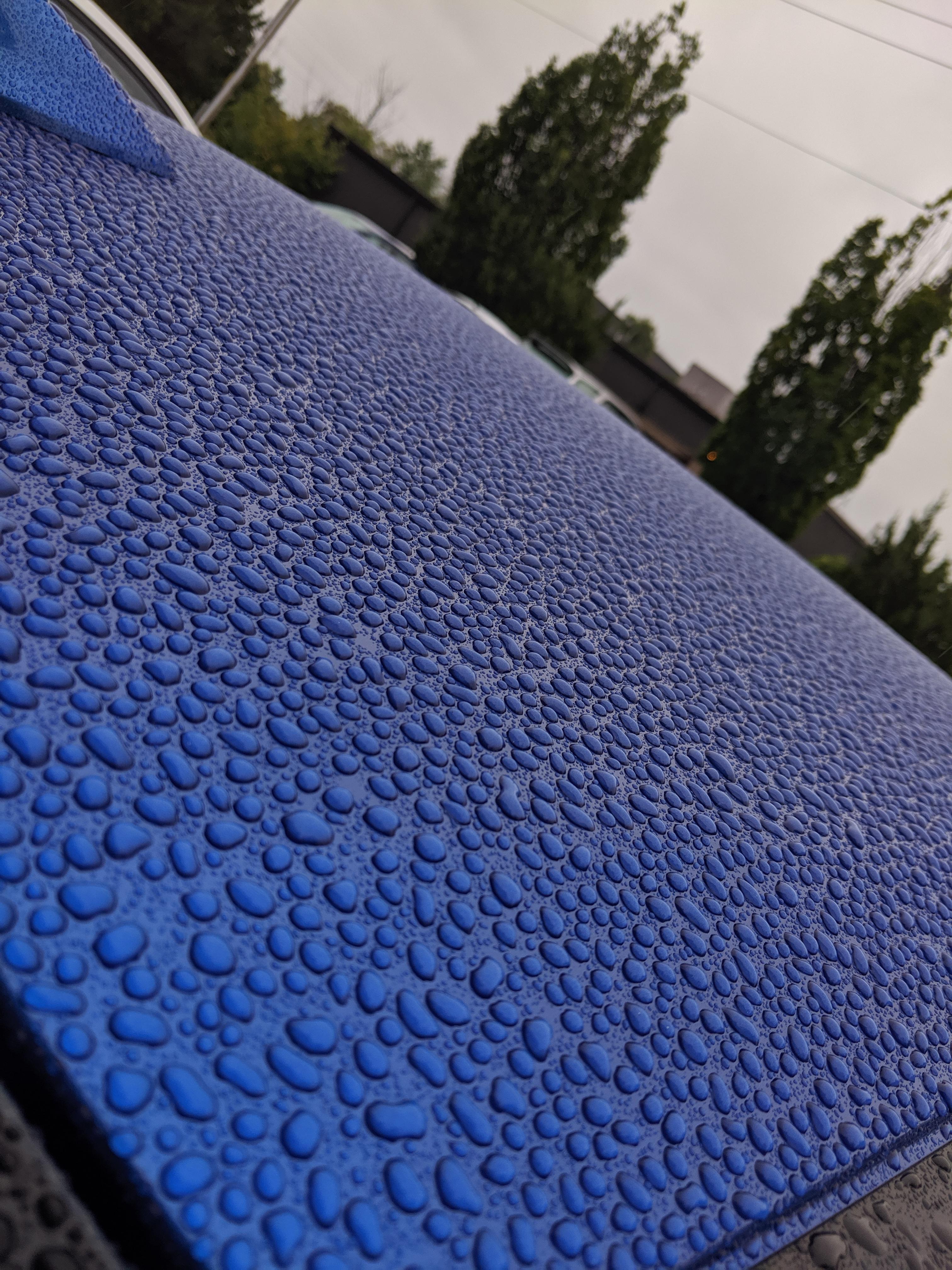 The way the water beads on my freshly waxed car r/oddlysatisfying