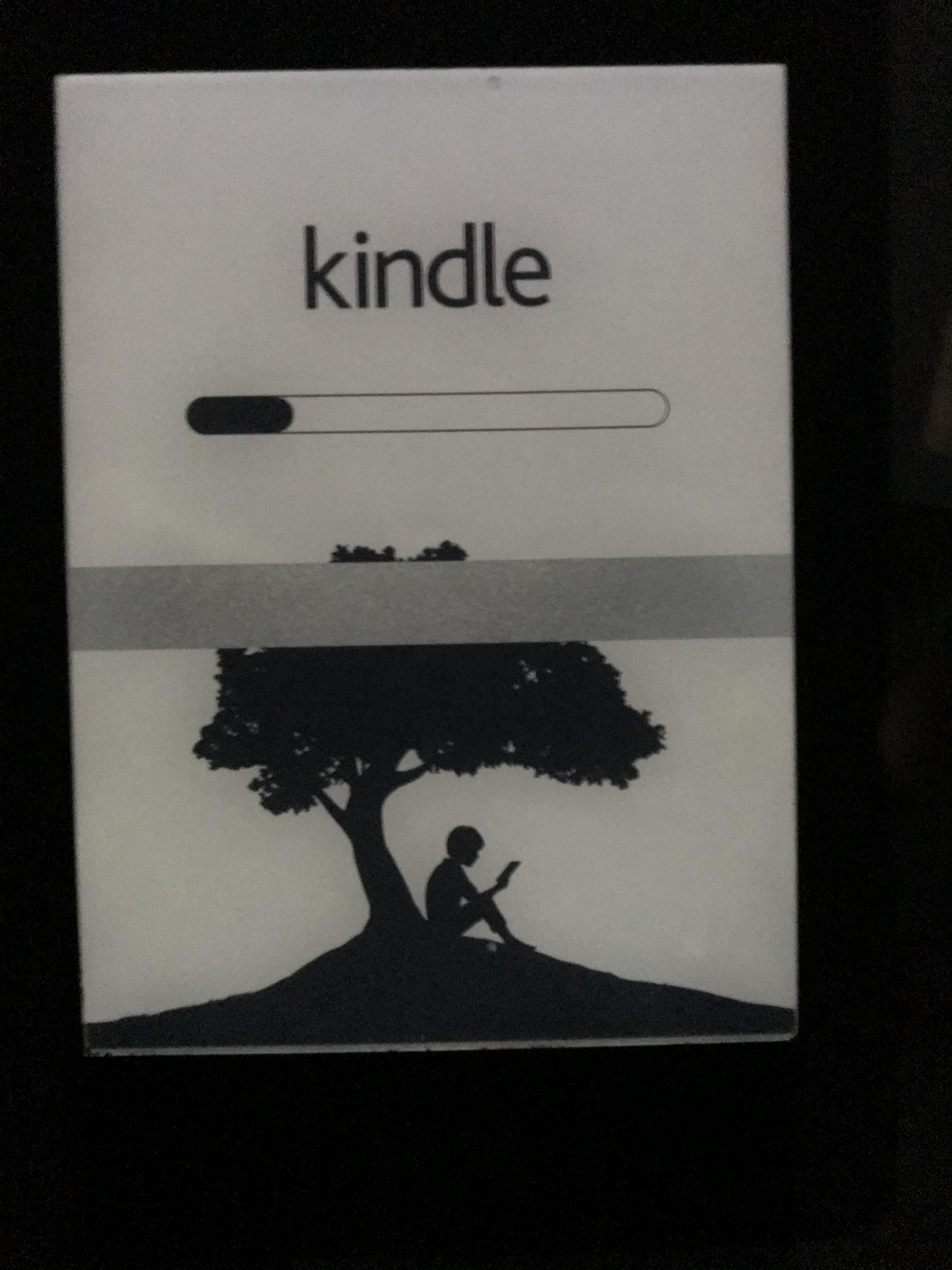 Can anyone help with my paperwhite screen issue? It just suddenly appear...I restarted numerous